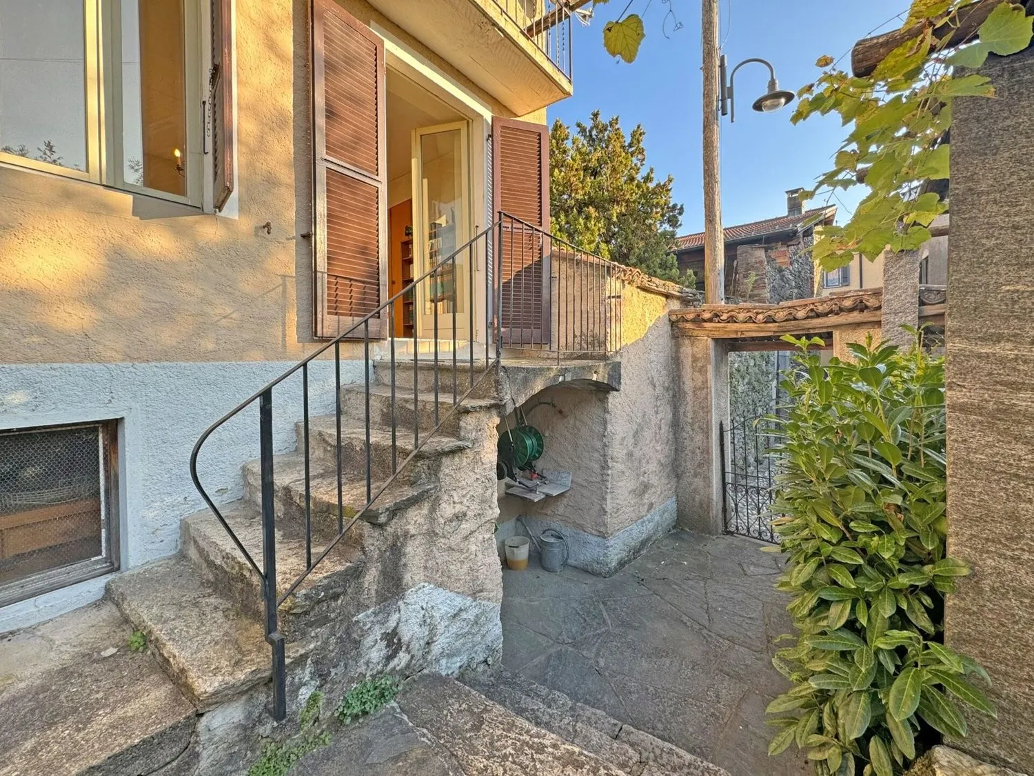 Immagine 12