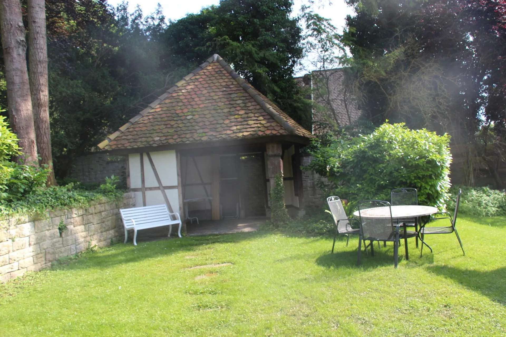 Image 11