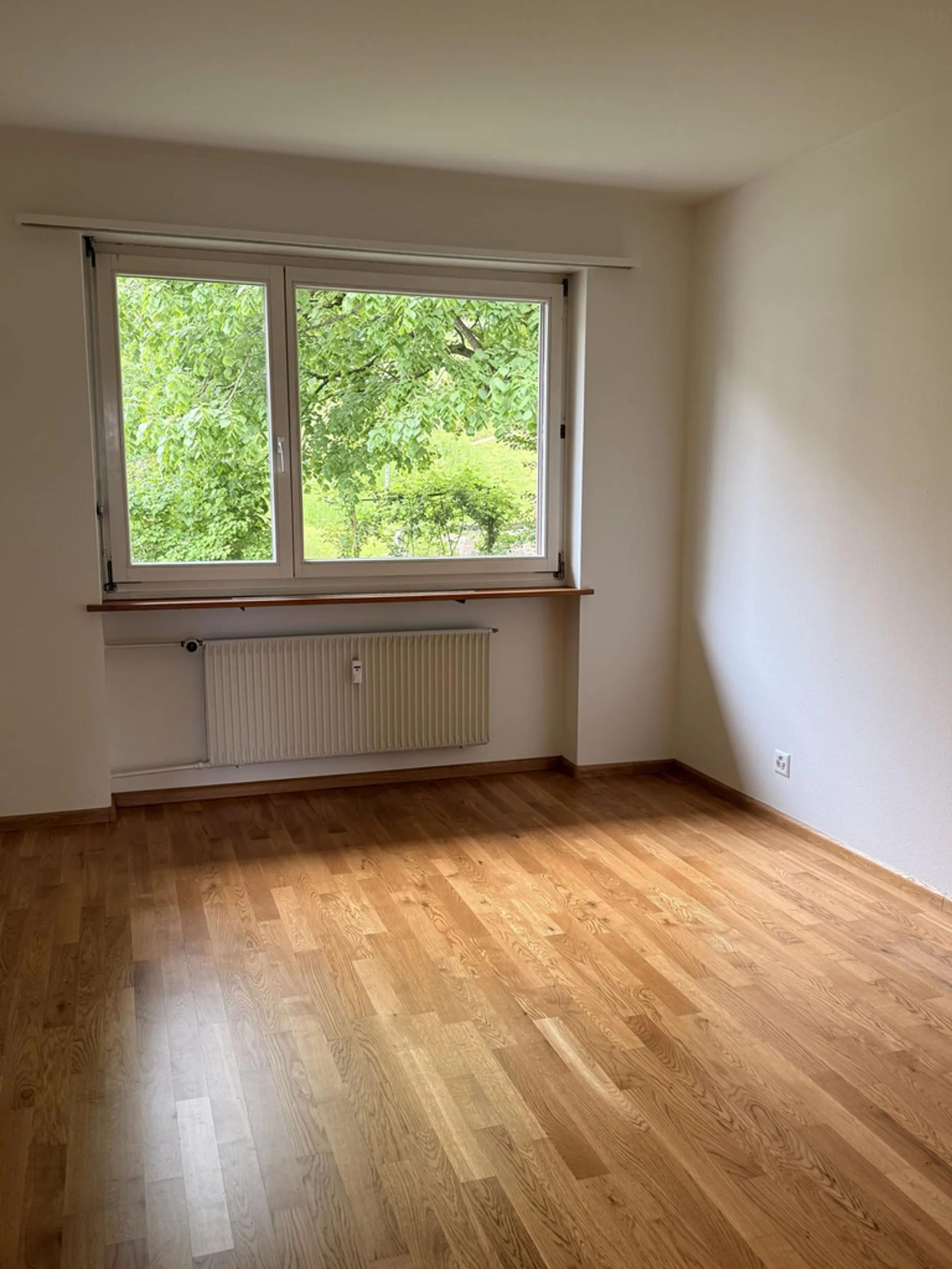 Bild 16