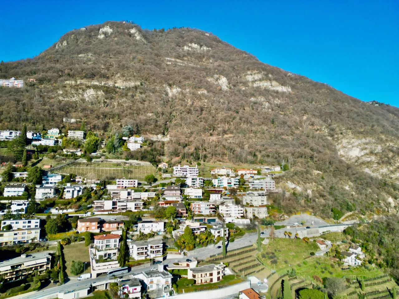 Immagine 3