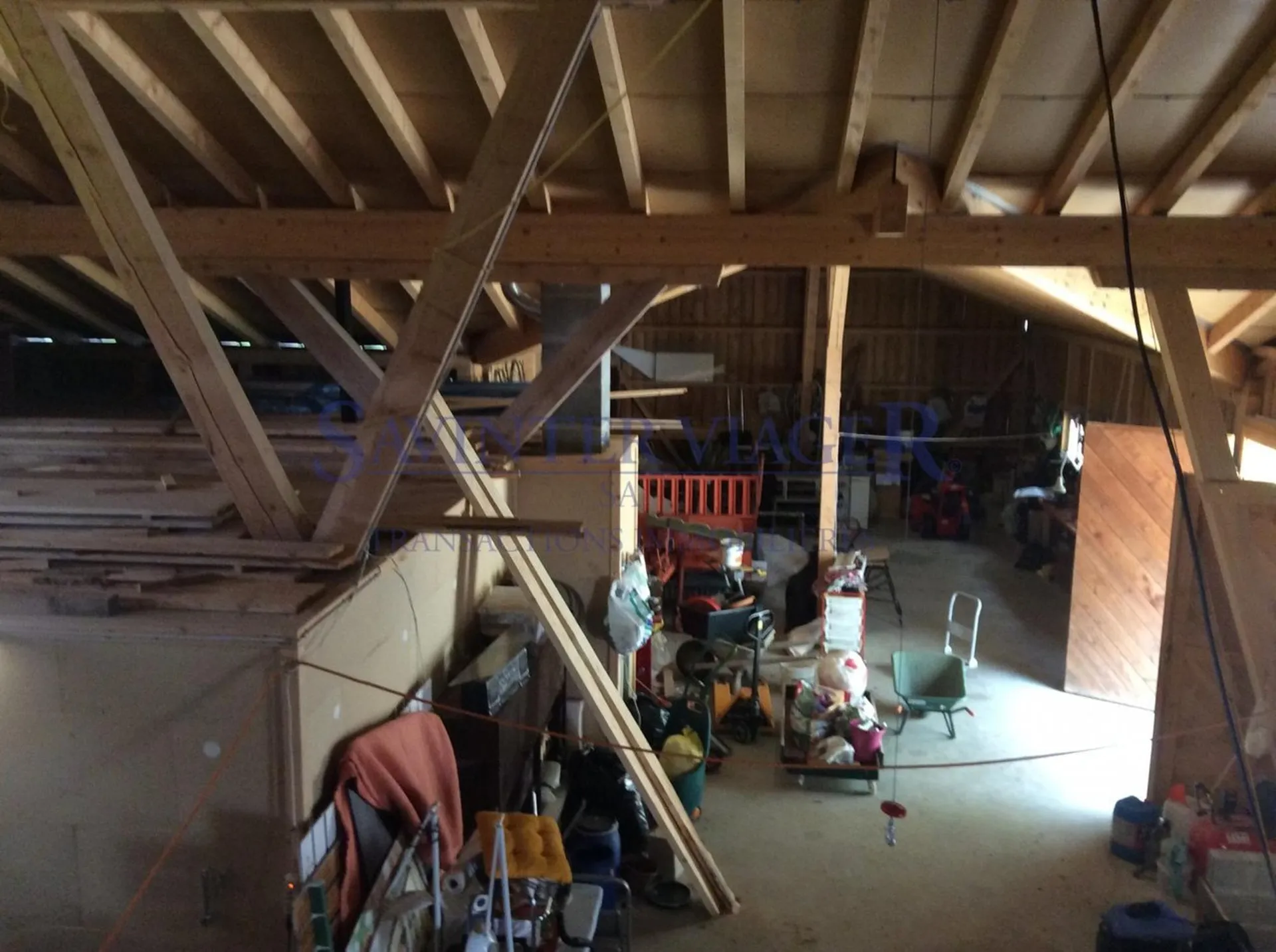 Image 7