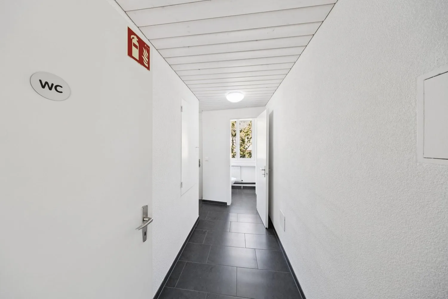 Image 15