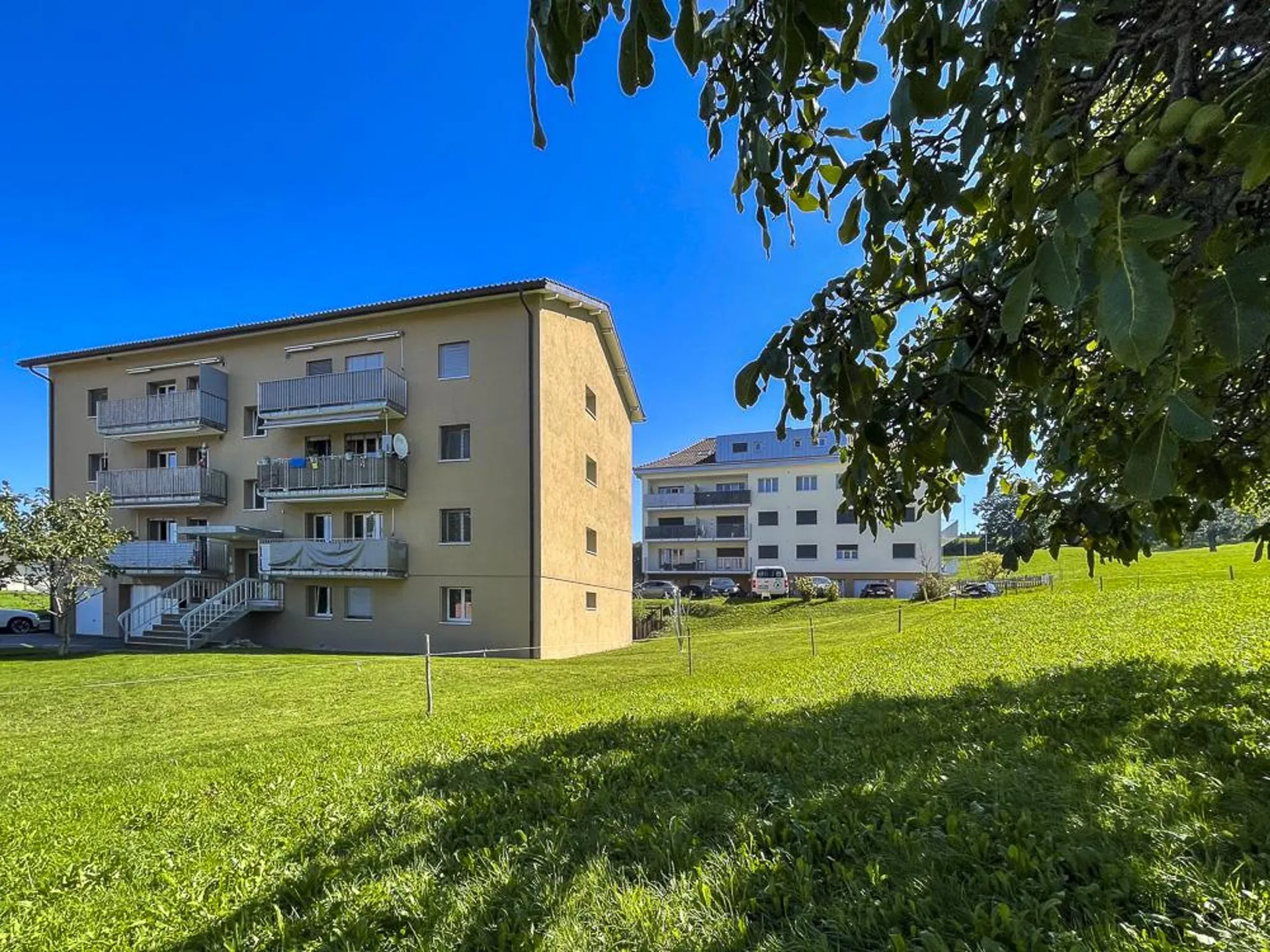 Appartement de 3.5 pièces rénové au calme
