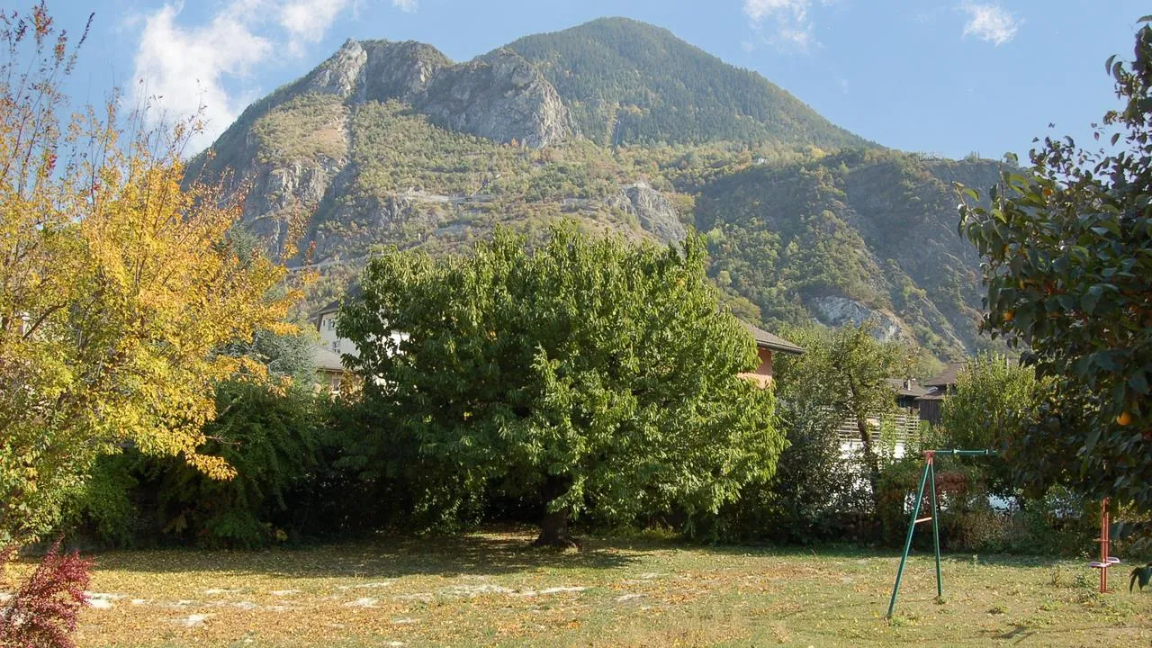 Image 15
