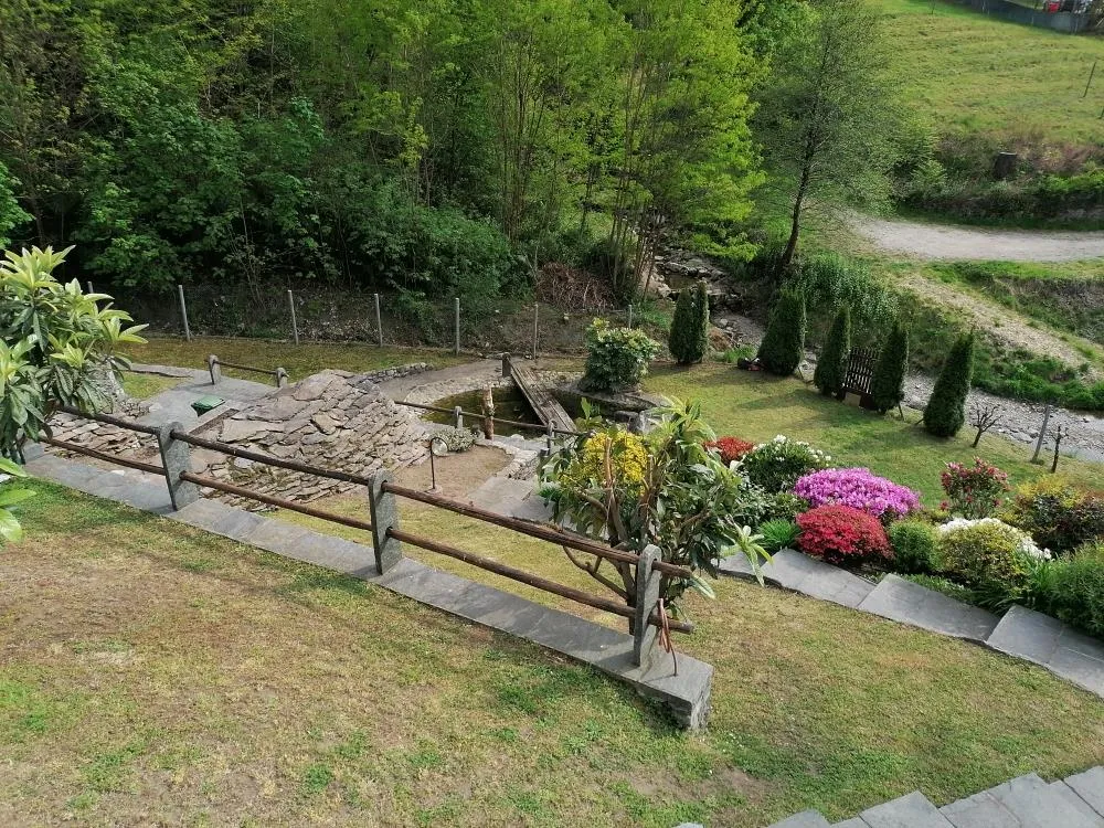 Image 8
