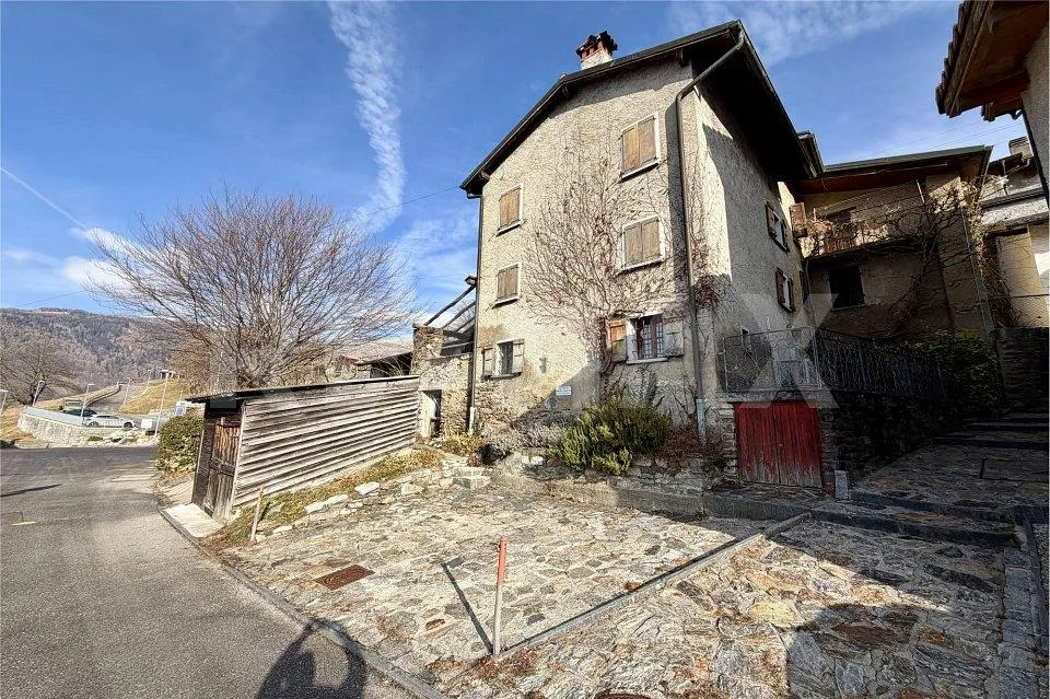 Immagine 3