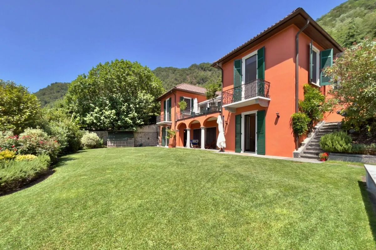 Immagine 12