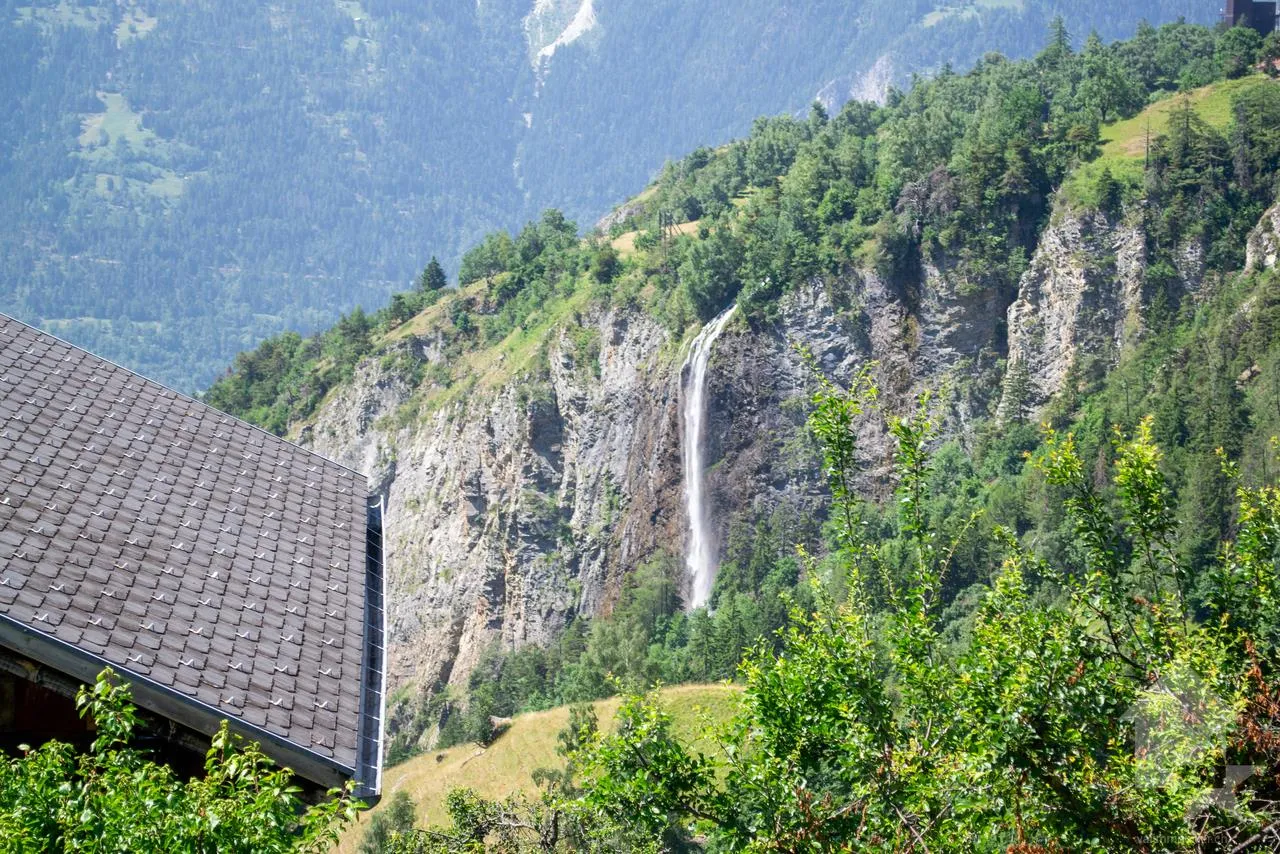 Image 15