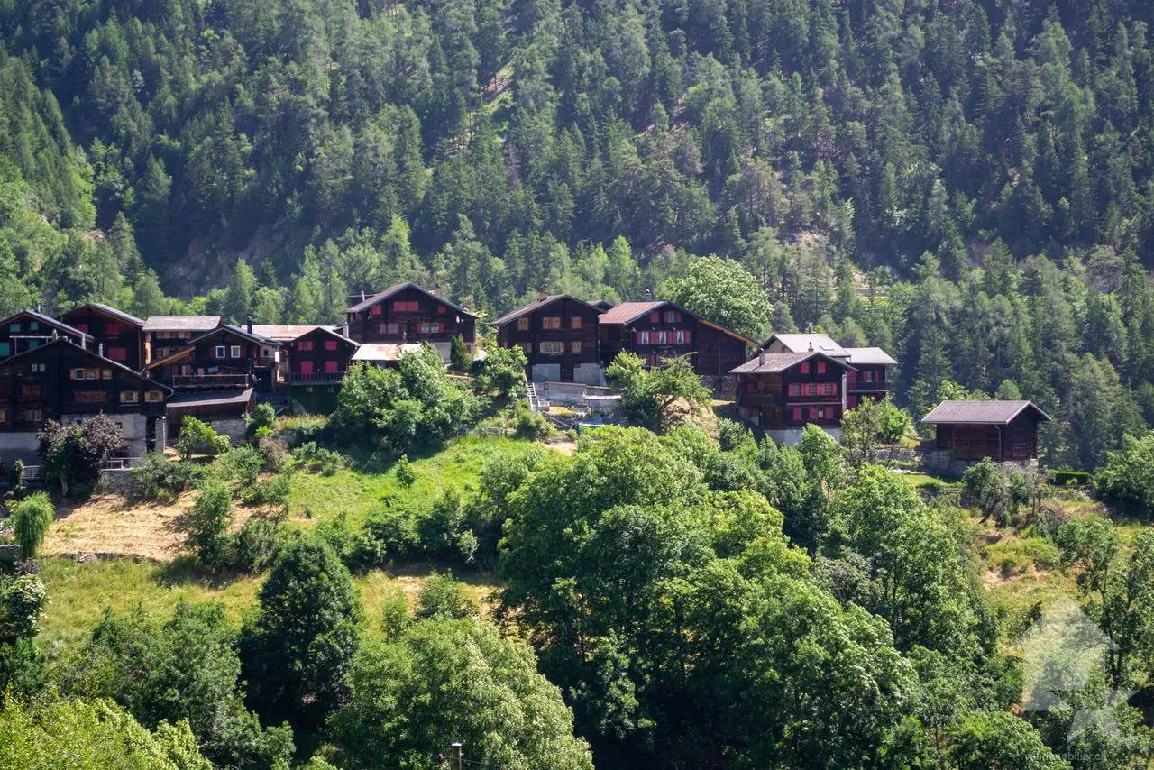 Image 13