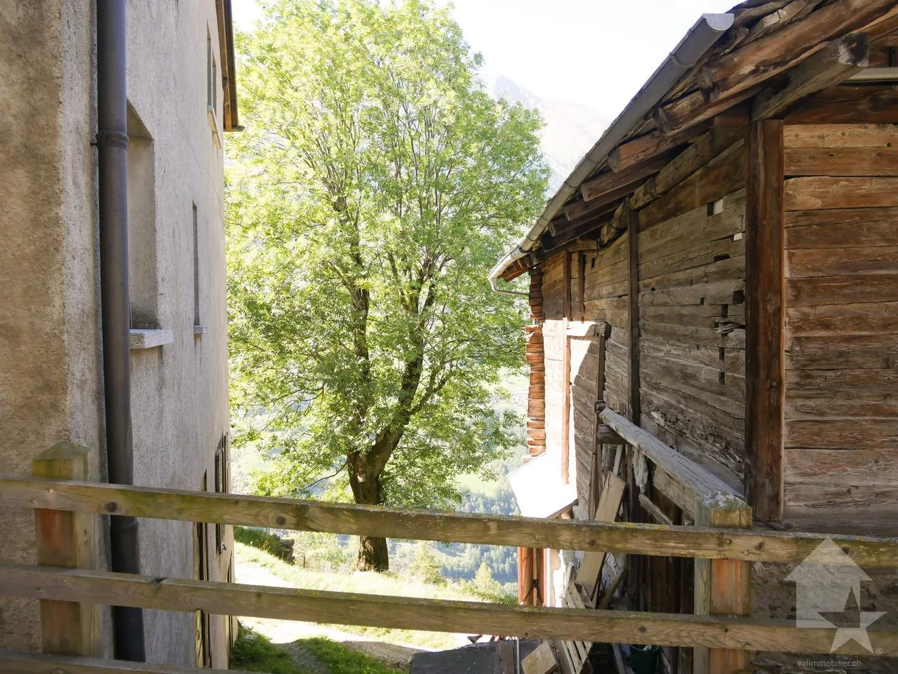 Image 15