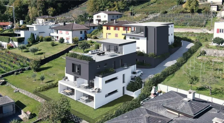 Immagine 2