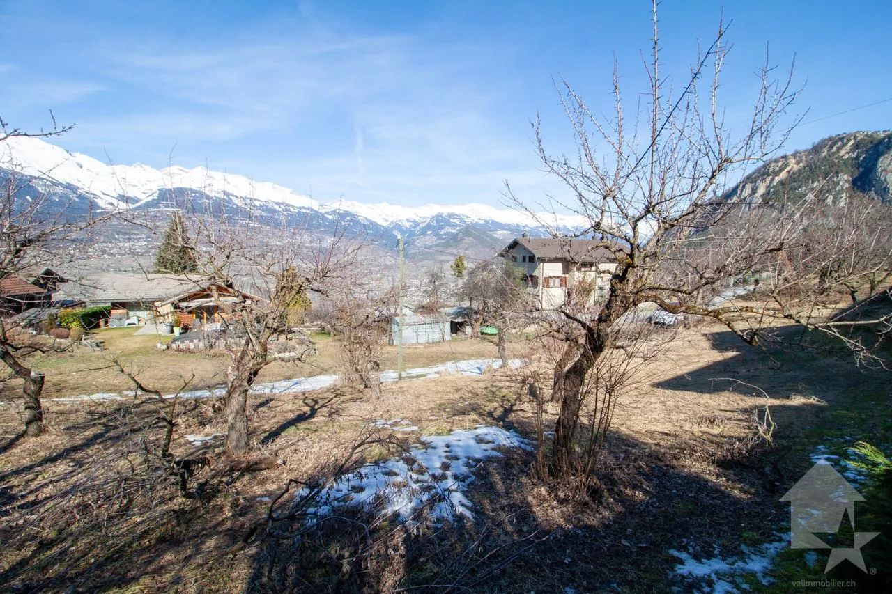 Bild 7