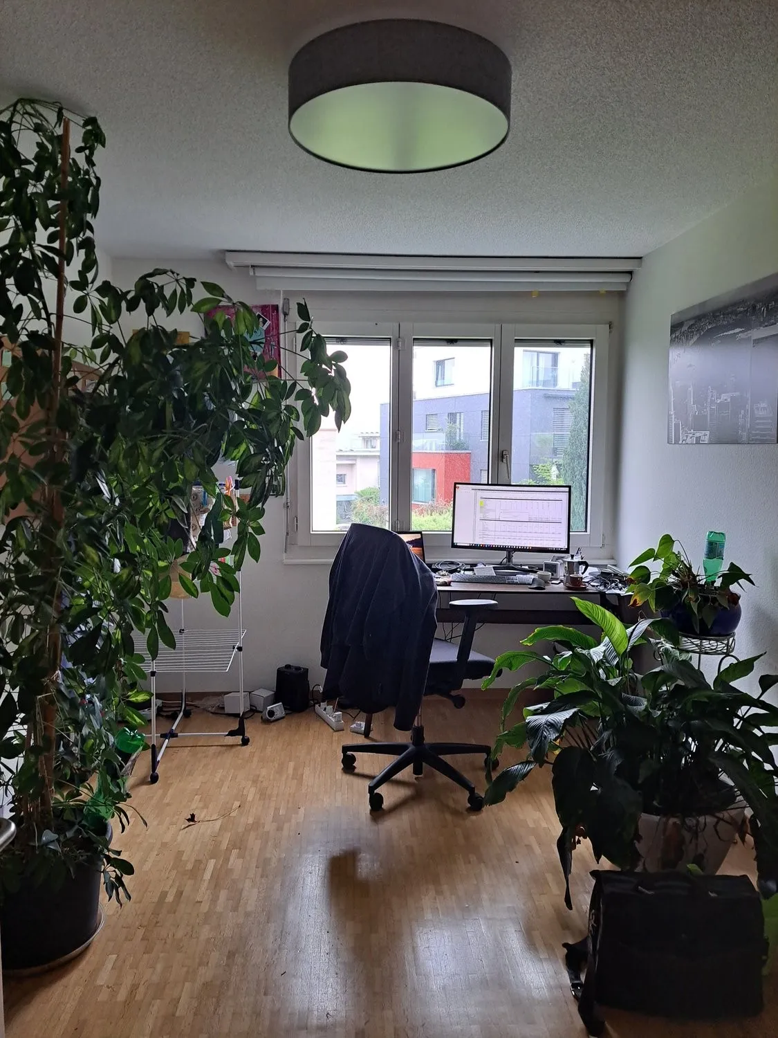 Bild 5
