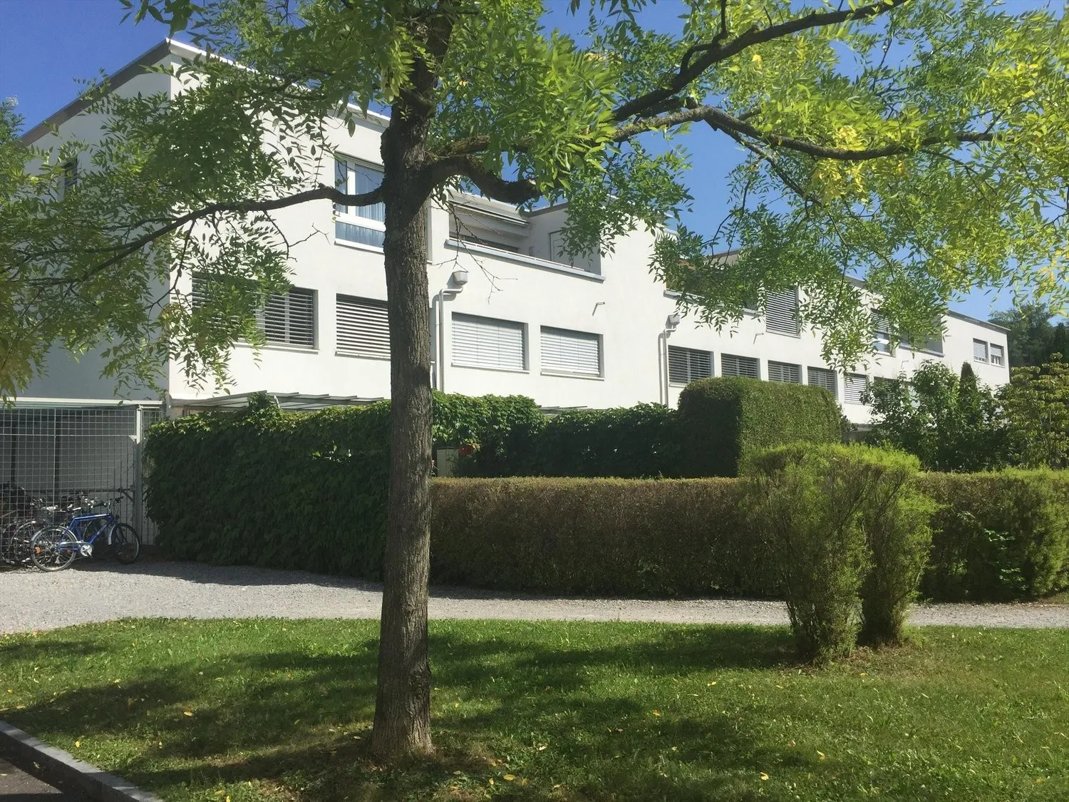 Image 17