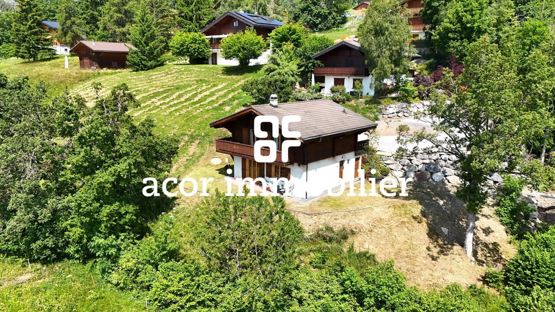 Chalet Le bosquet Arbaz