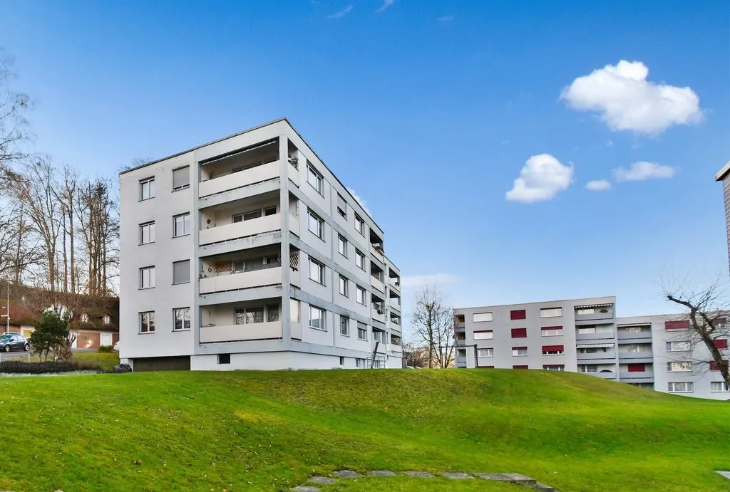 Gemütliche Wohnung in Wädenswil