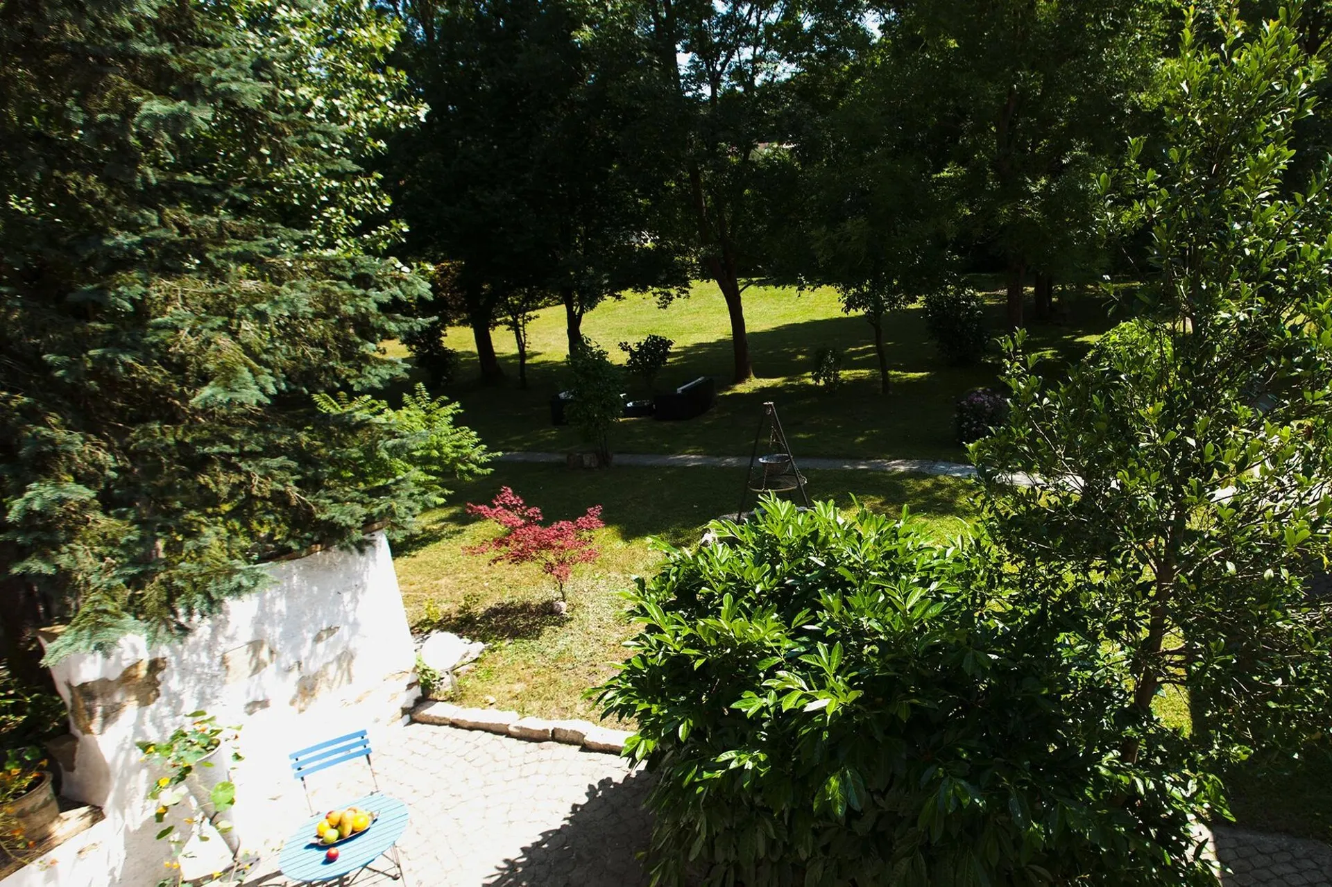 Immagine 11