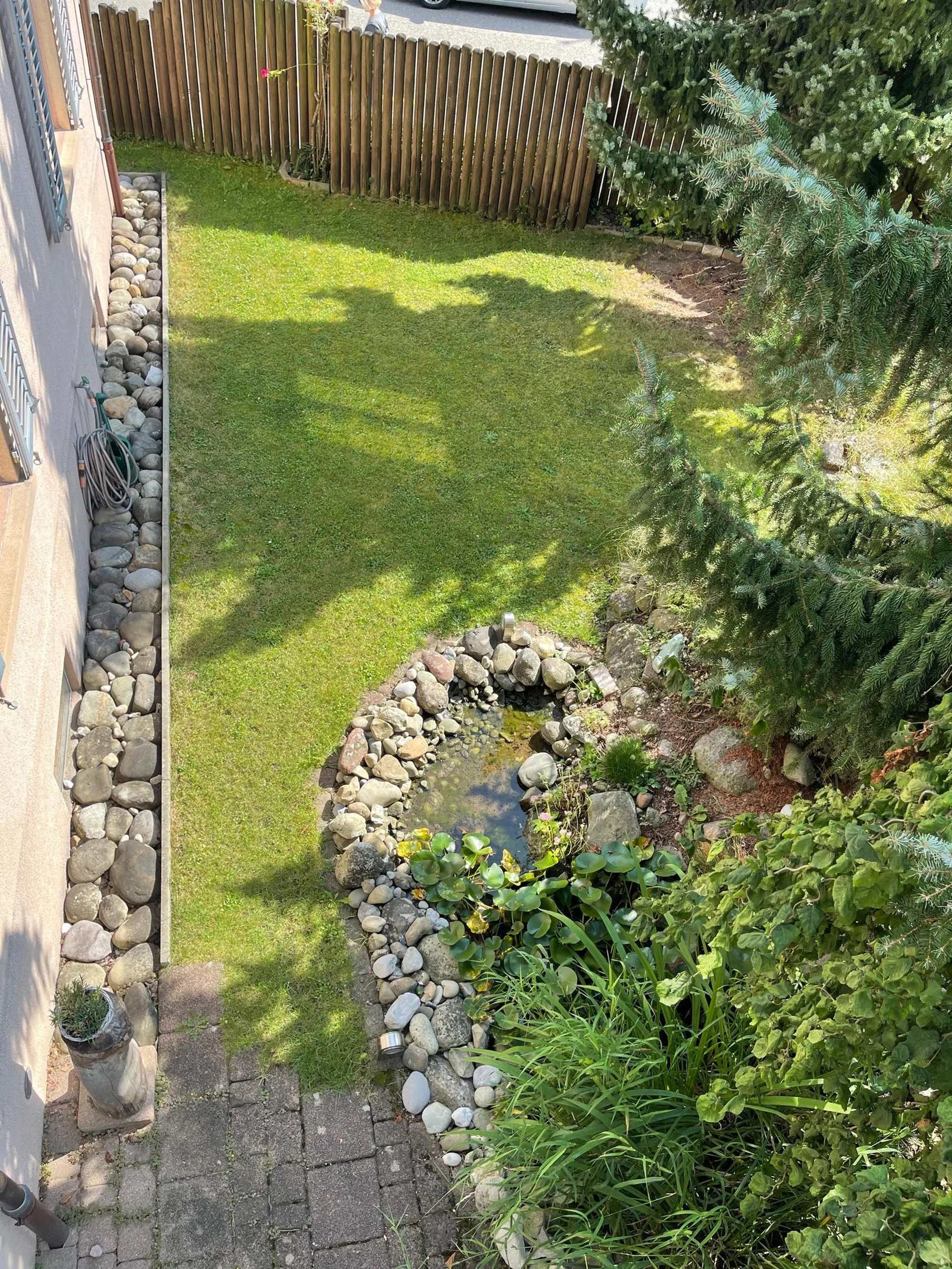 Bild 12