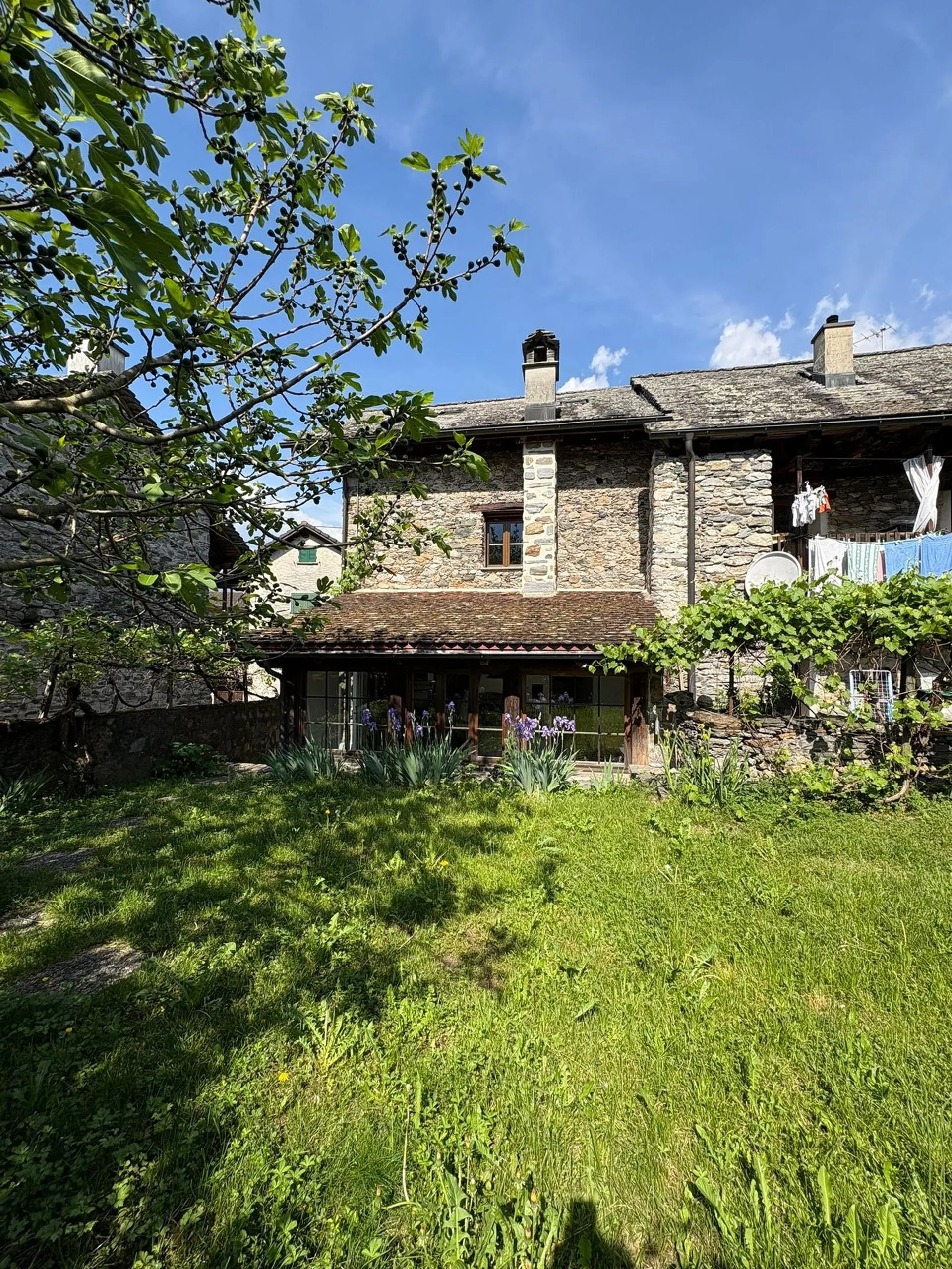 Image 21
