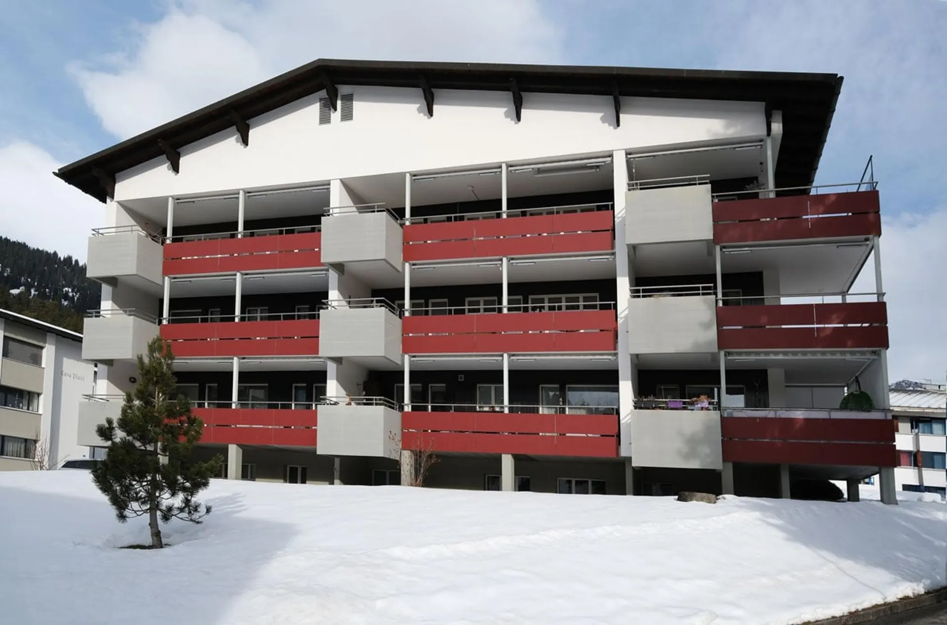 Image 7