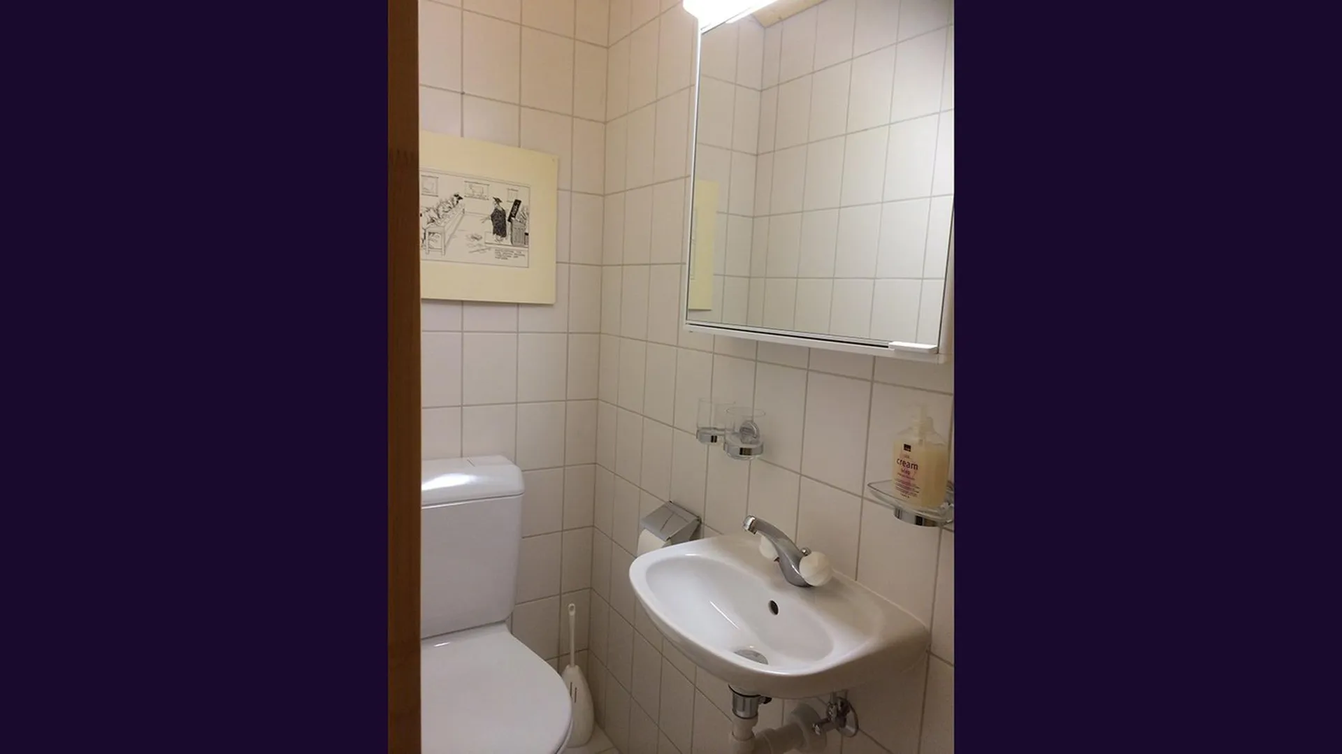 Image 21