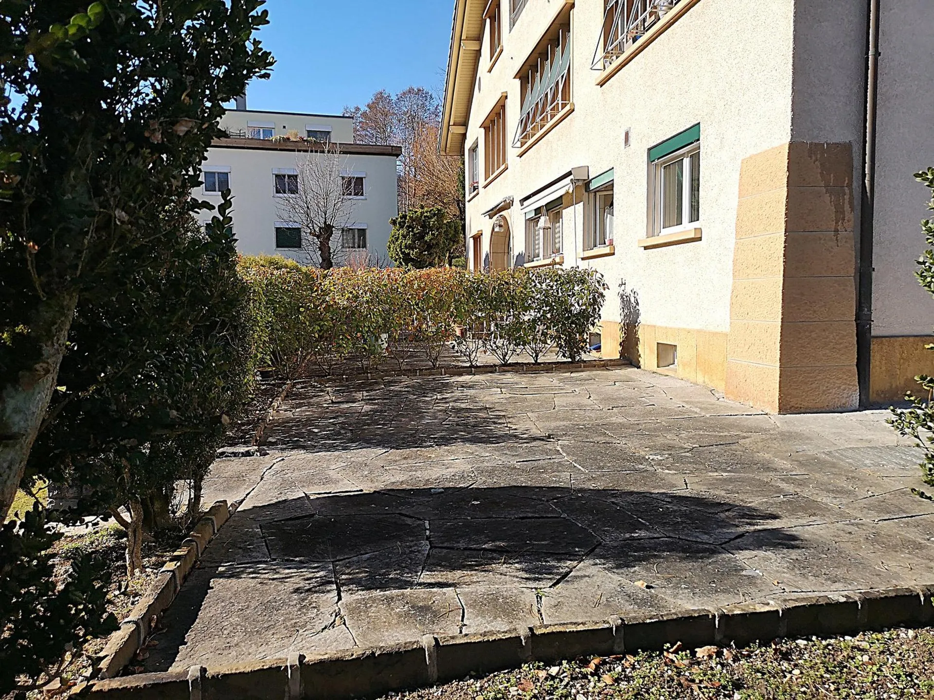 Image 15