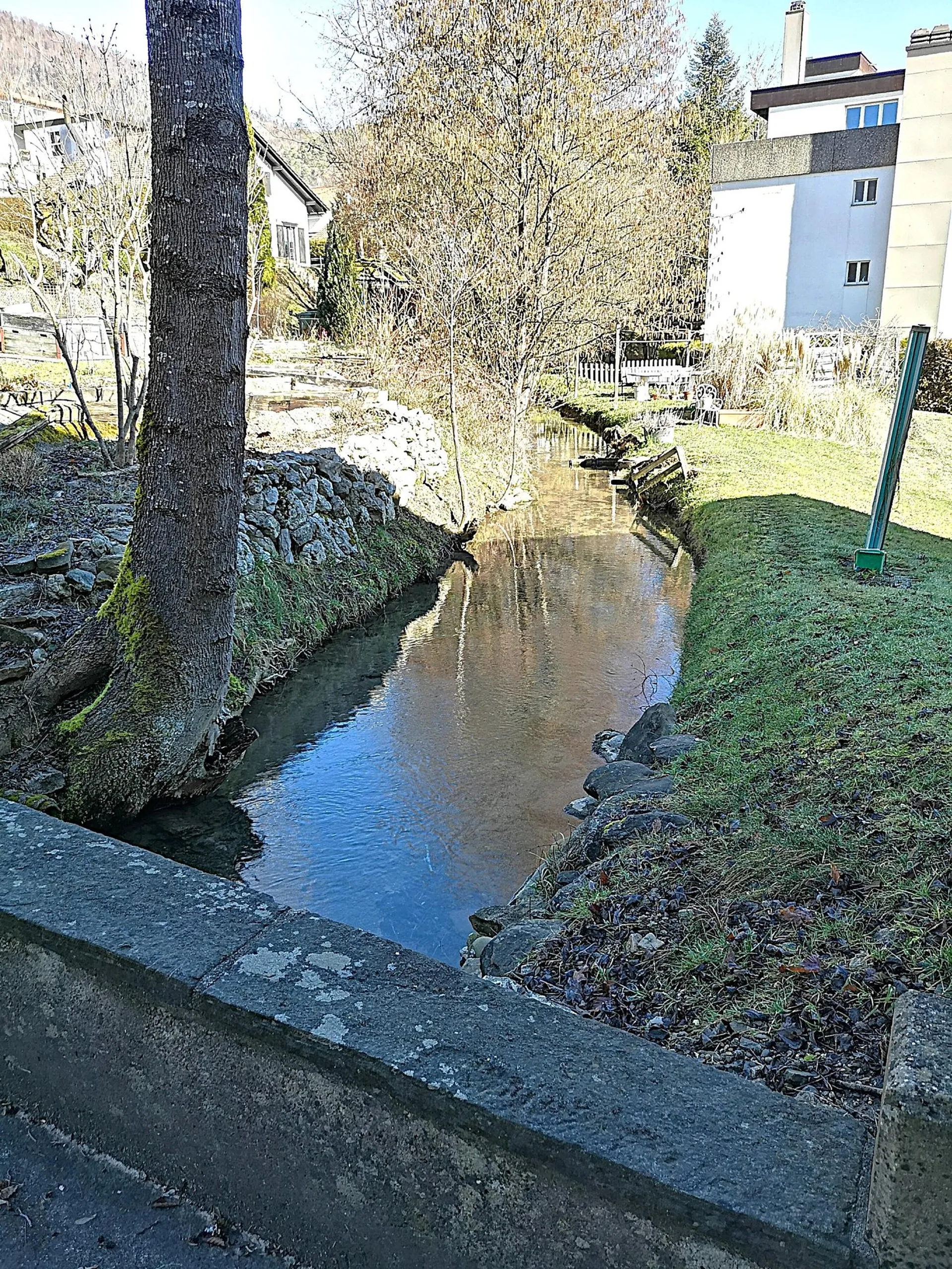 Image 16