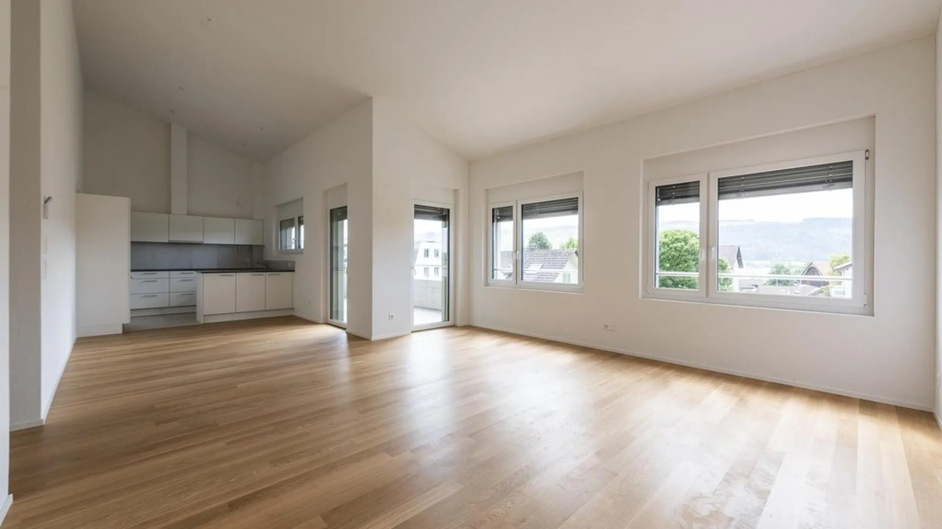 SPACIOUS AND BRIGHT NEW APARTMENT IN HITZKIRCH
