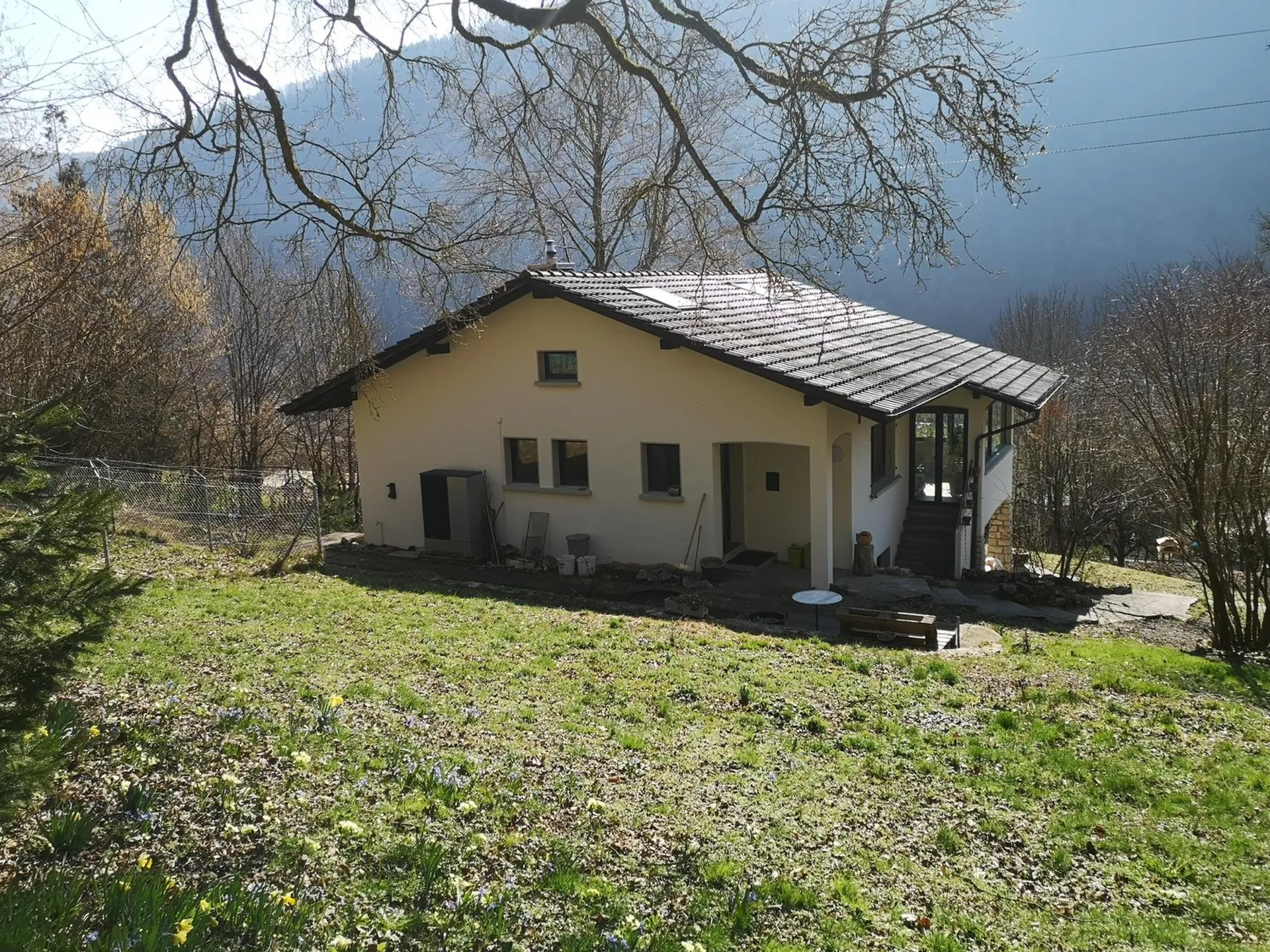 Image 6