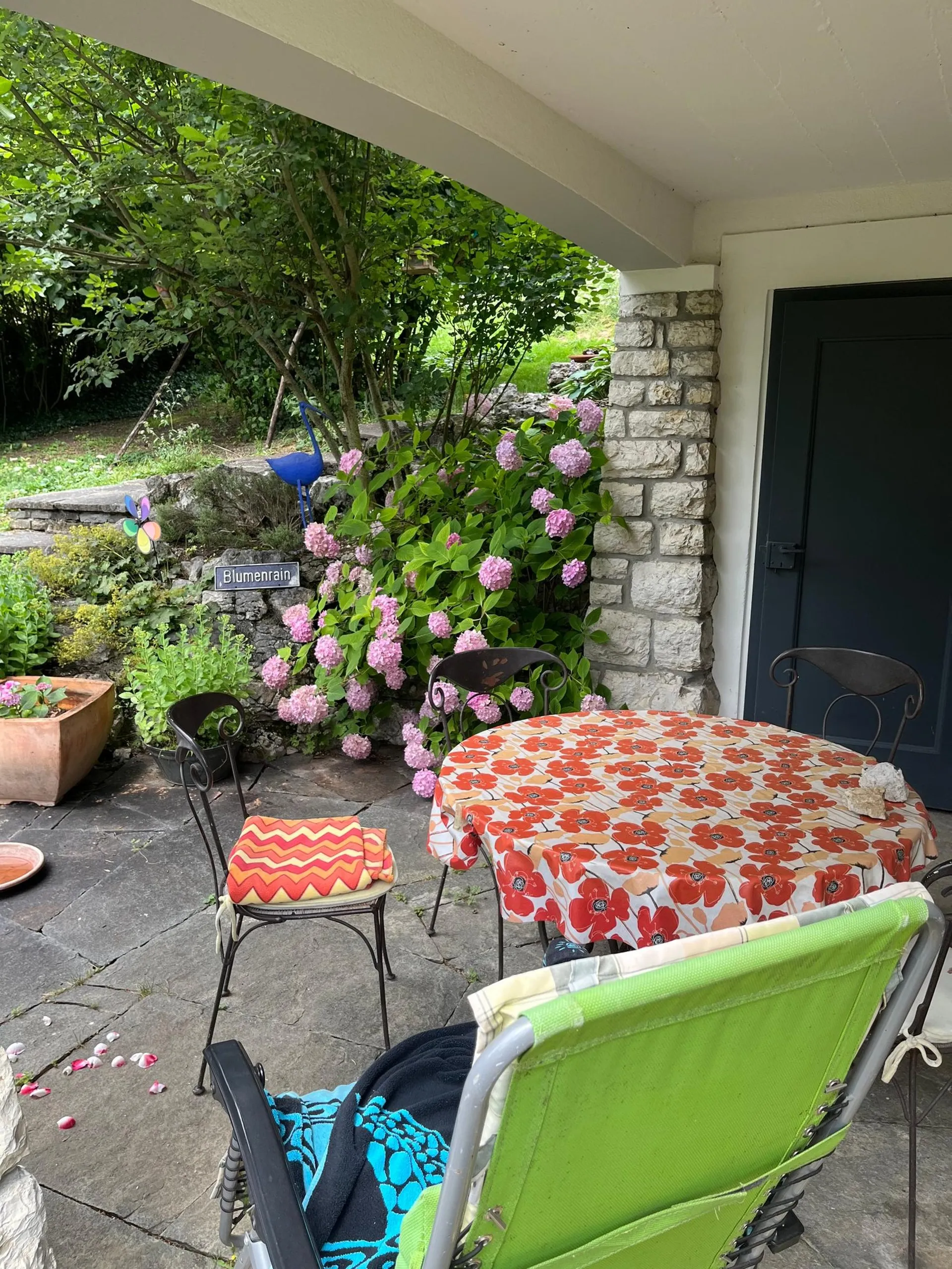 Image 12
