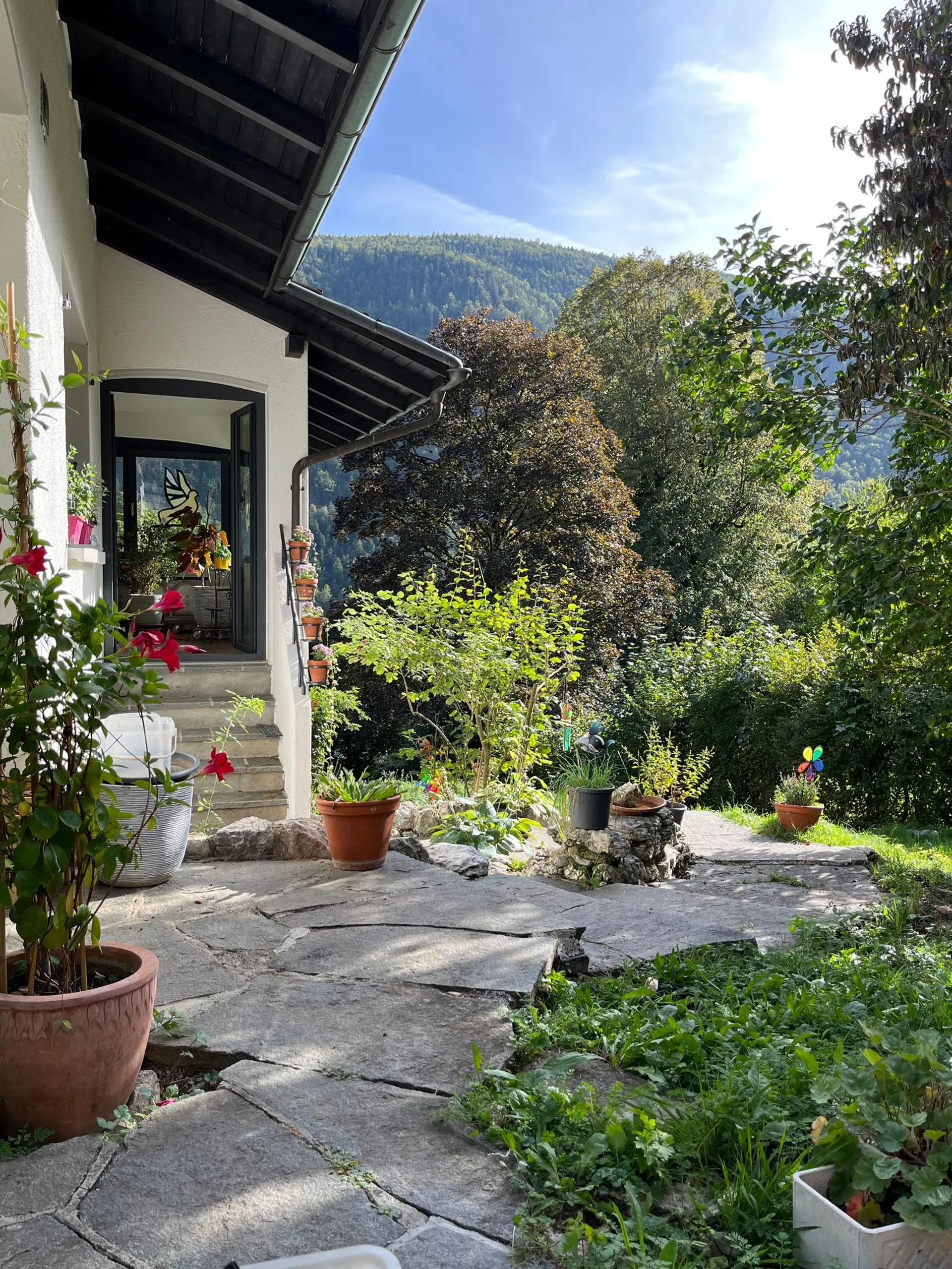 Image 10