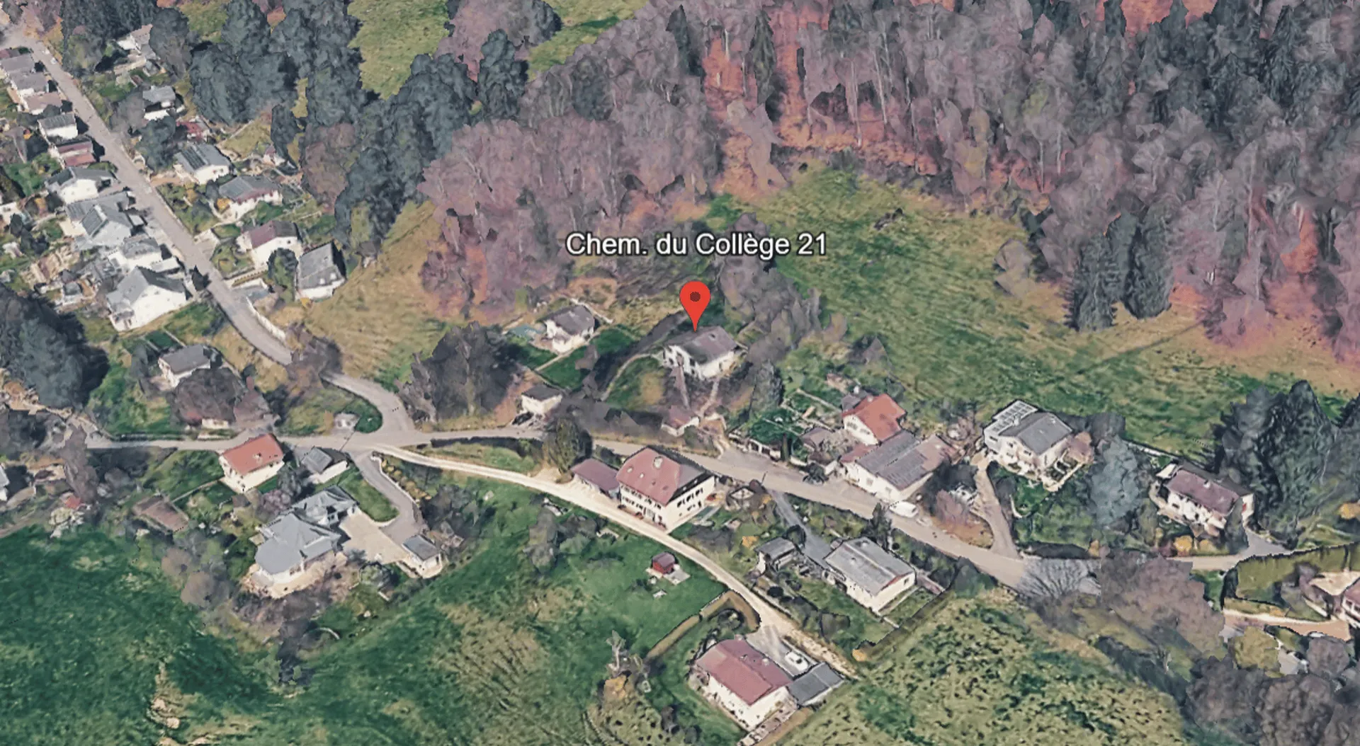 Image 15