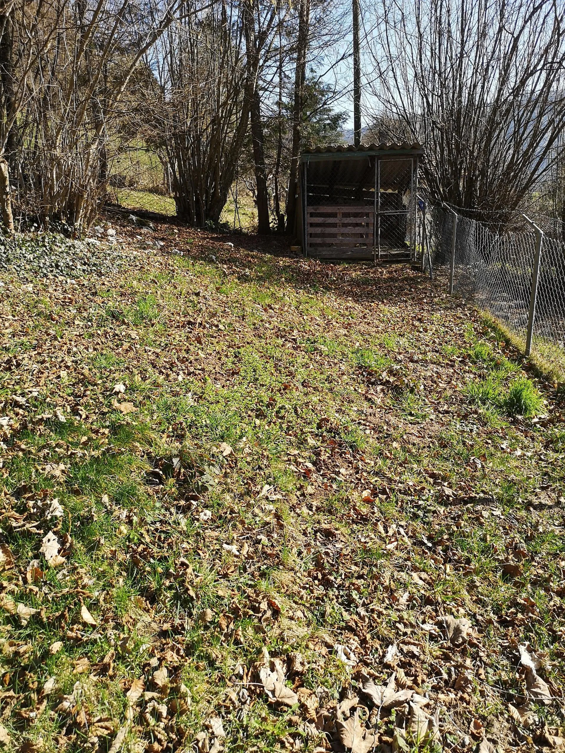 Image 14