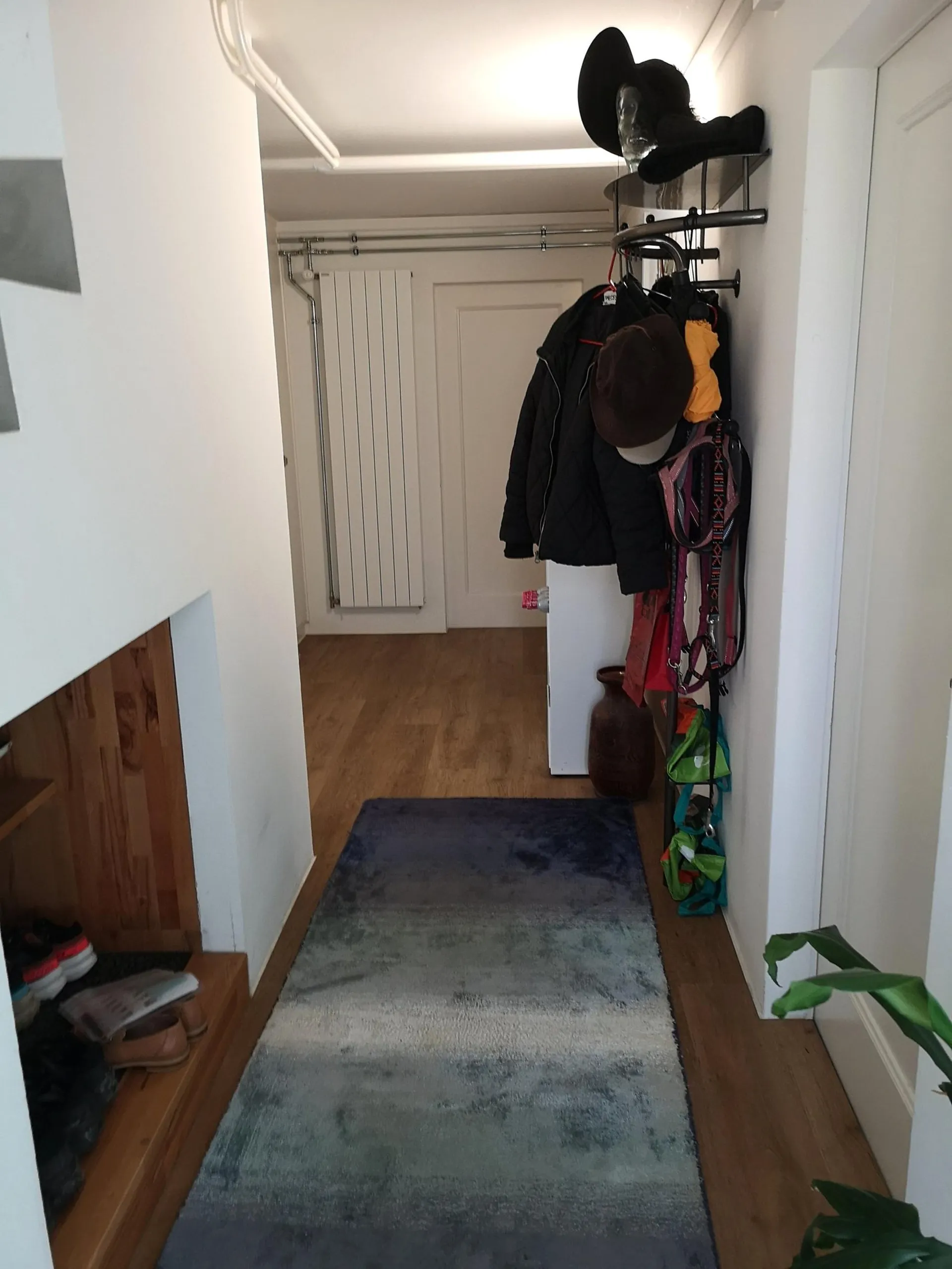 Image 19