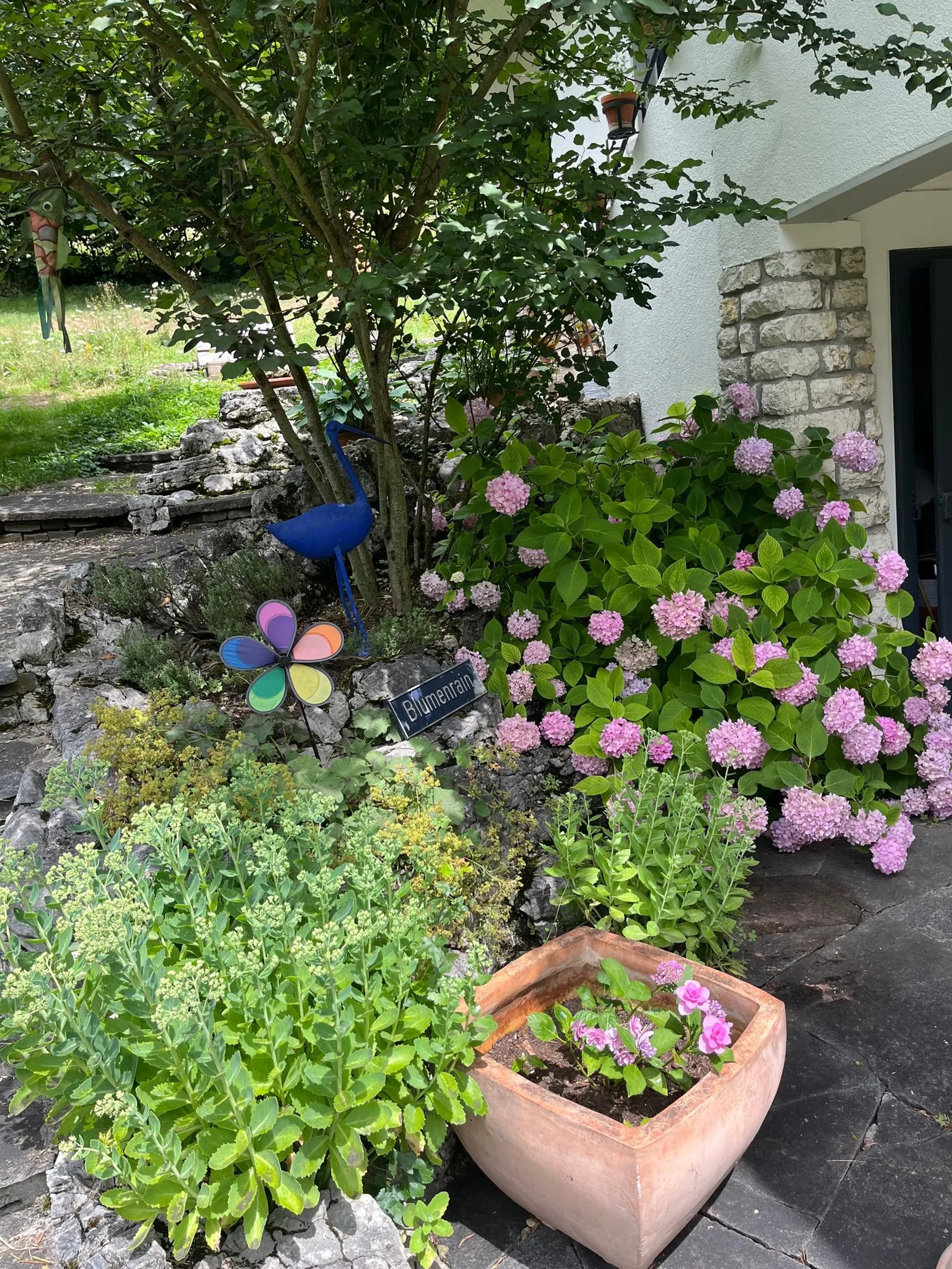 Image 13
