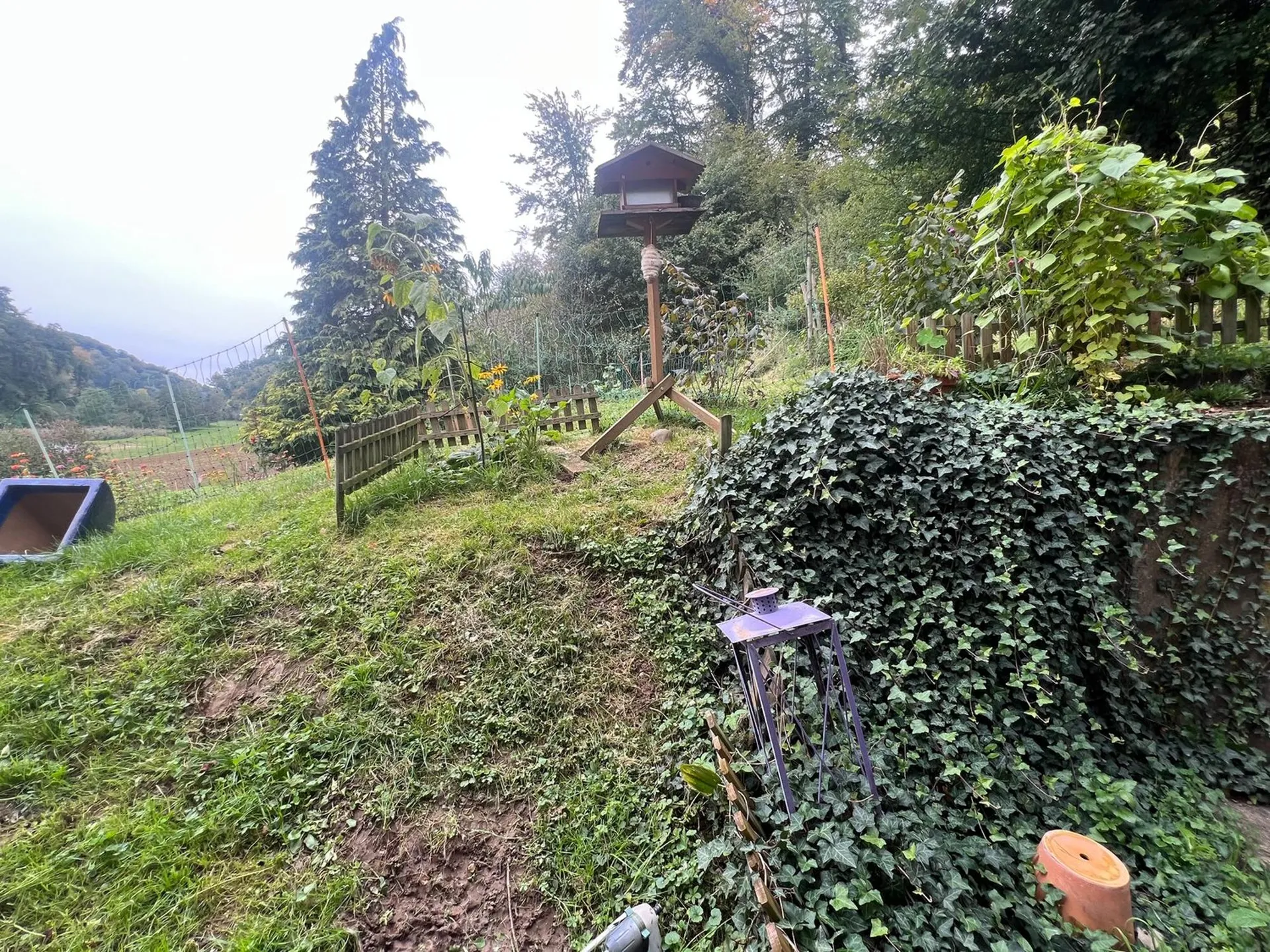 Image 10