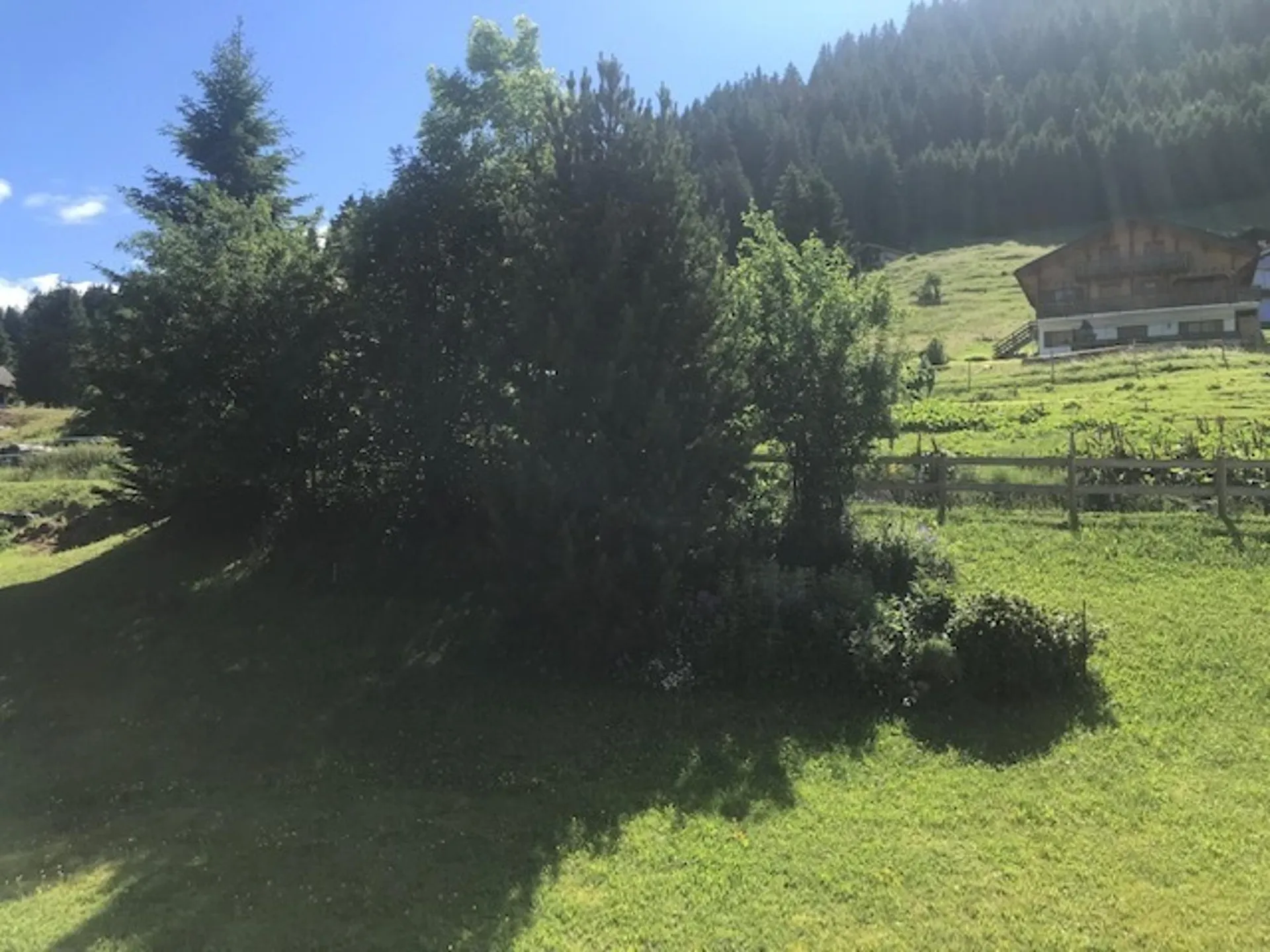 Image 12