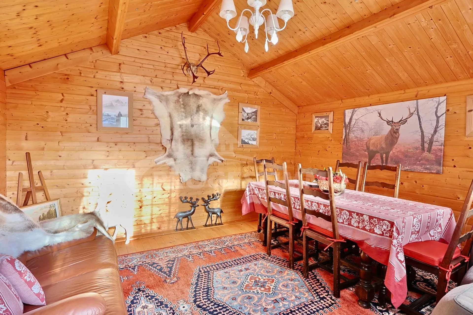 Bild 11