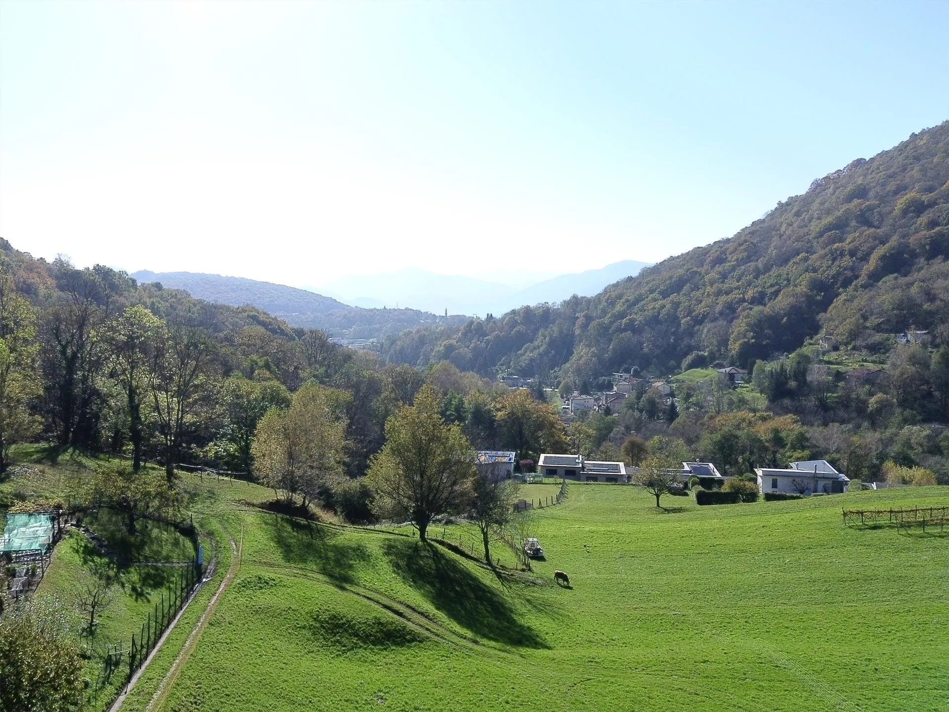 Immagine 11