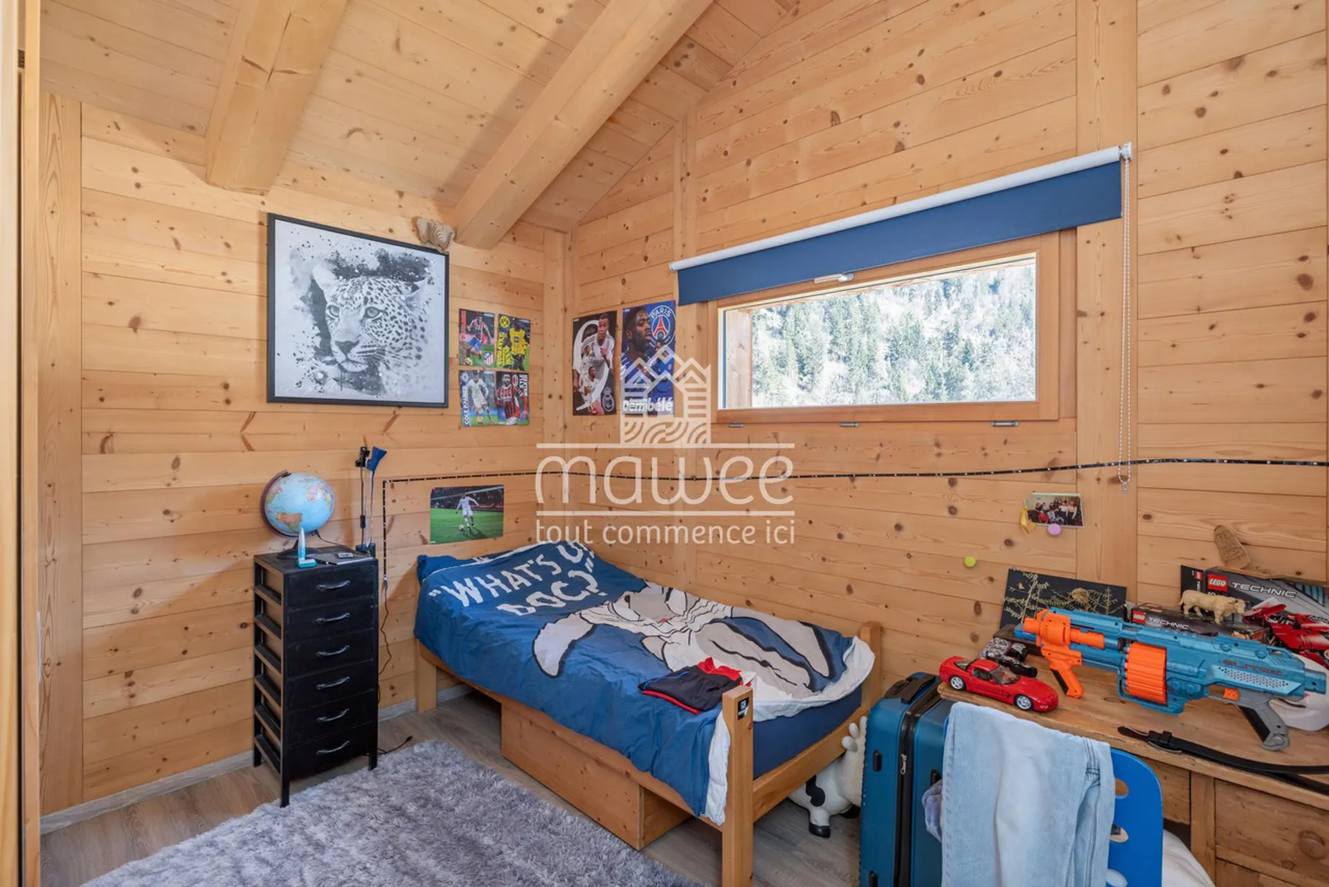 Image 11