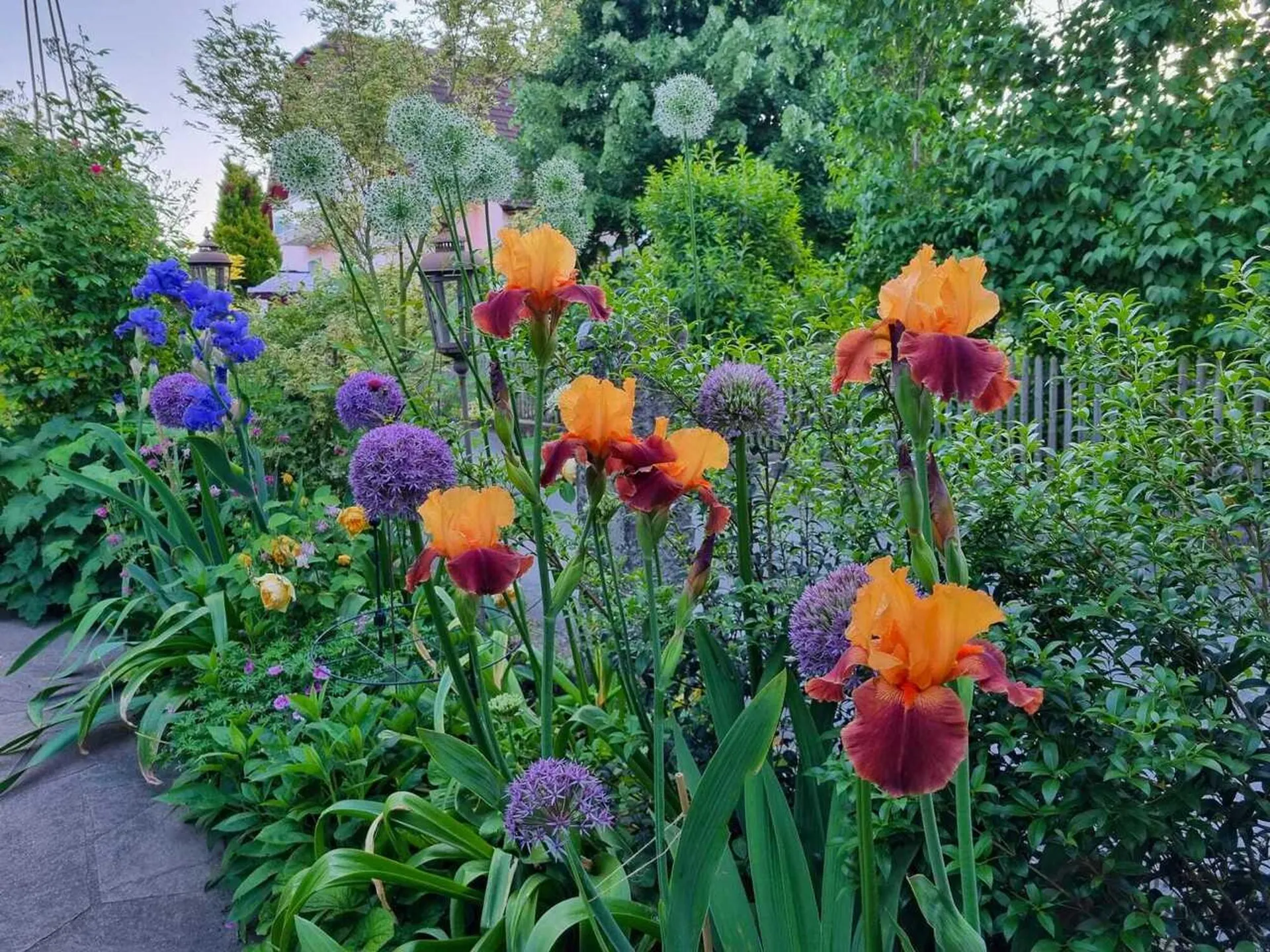 Image 24