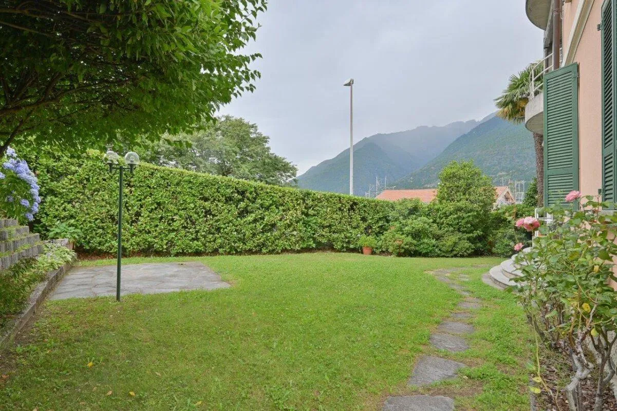 Immagine 3