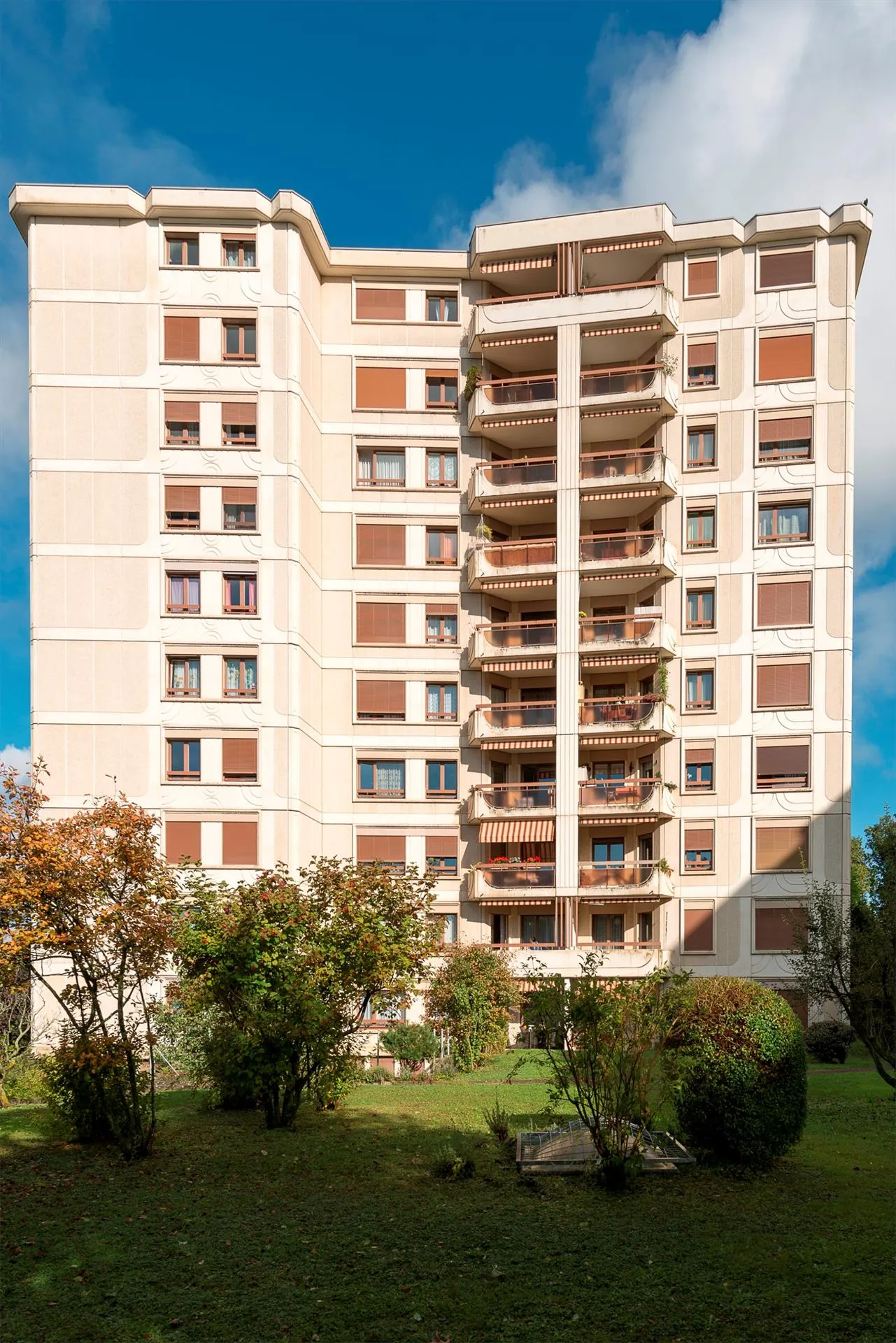 Image 11