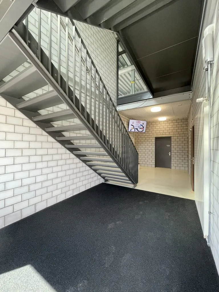 Image 5