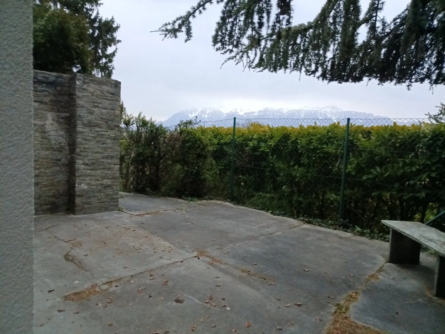 Image 8