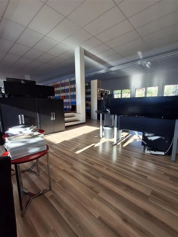 Image 5
