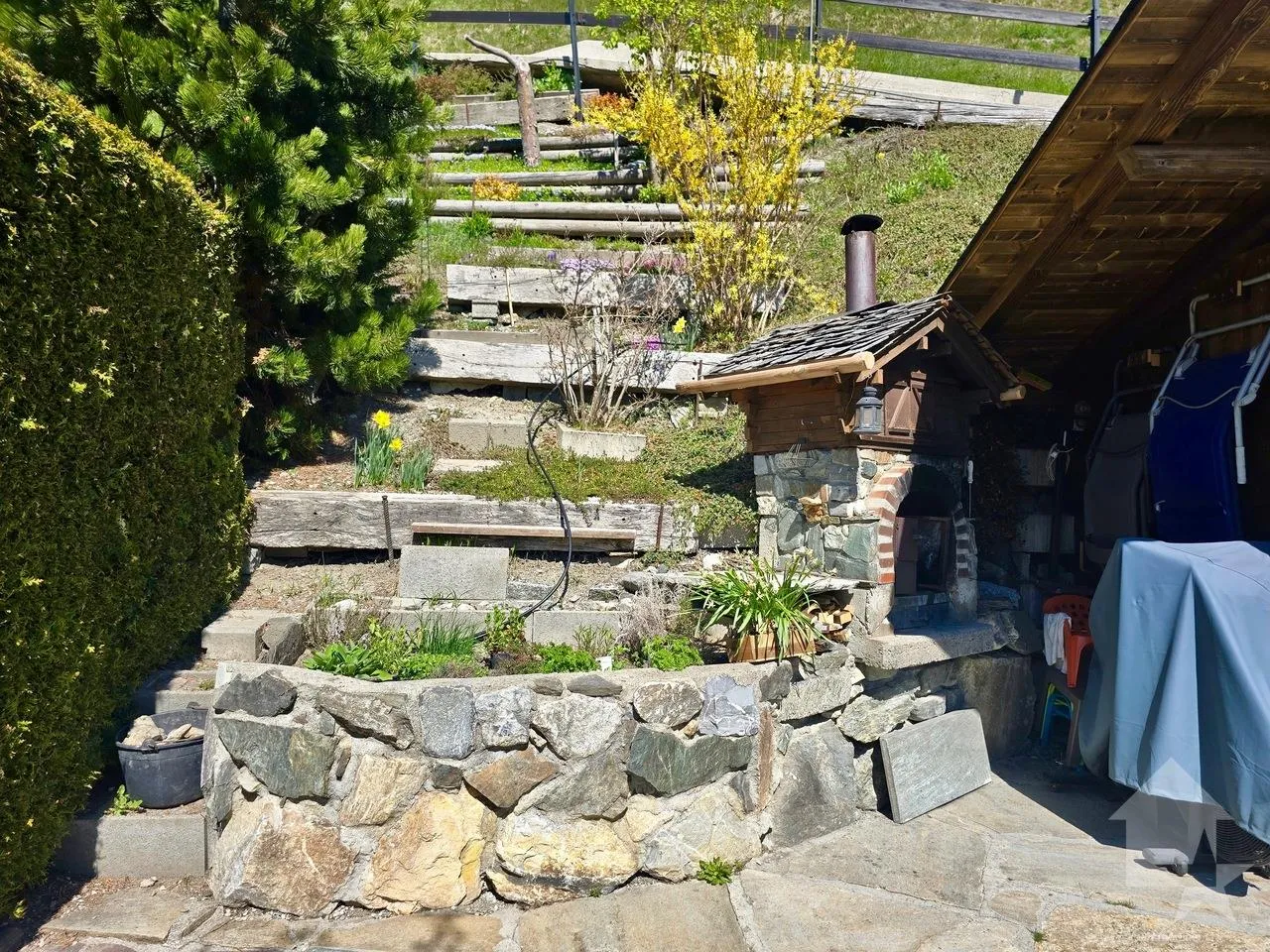Bild 19