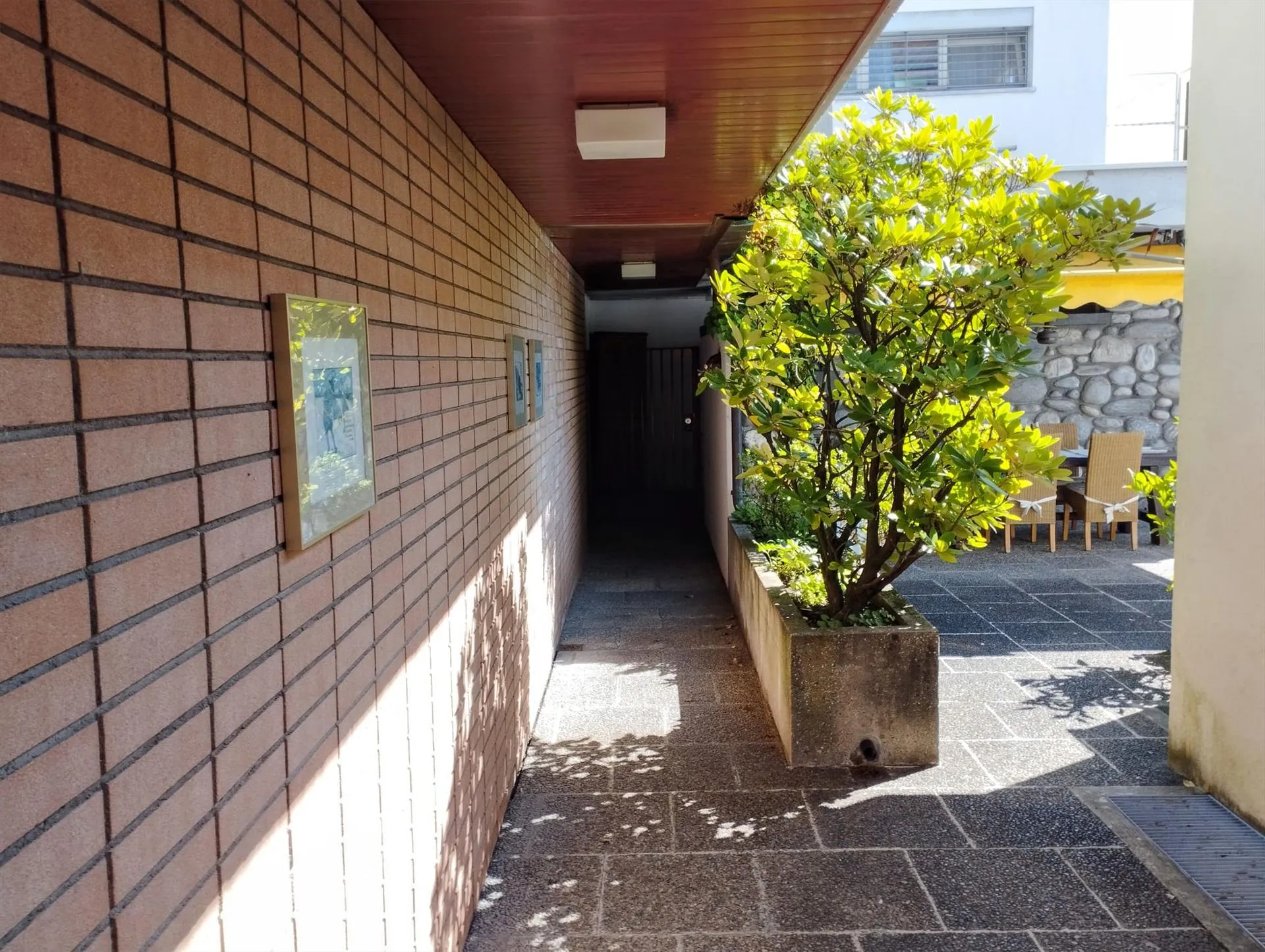 Image 8