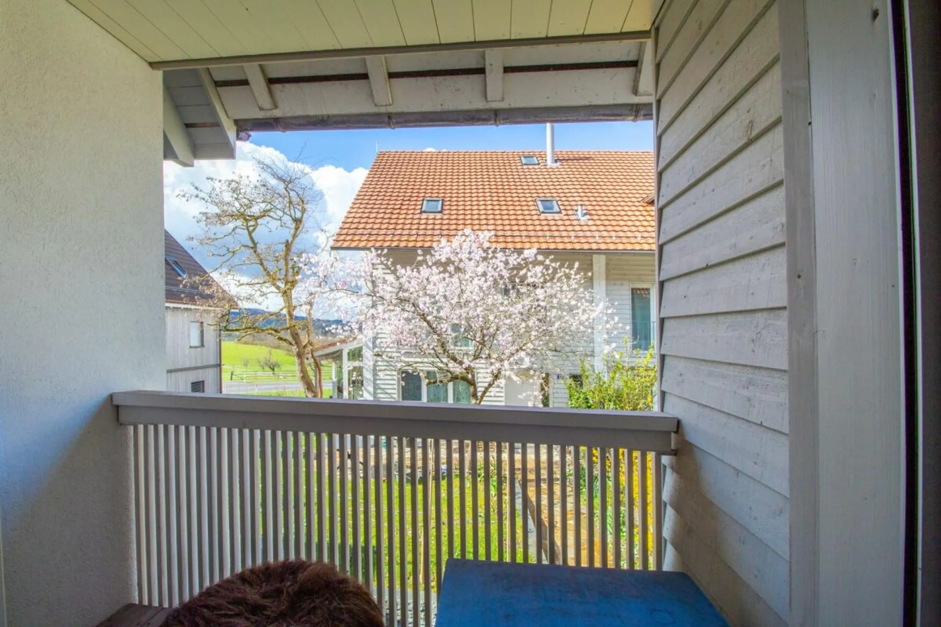 Bild 19