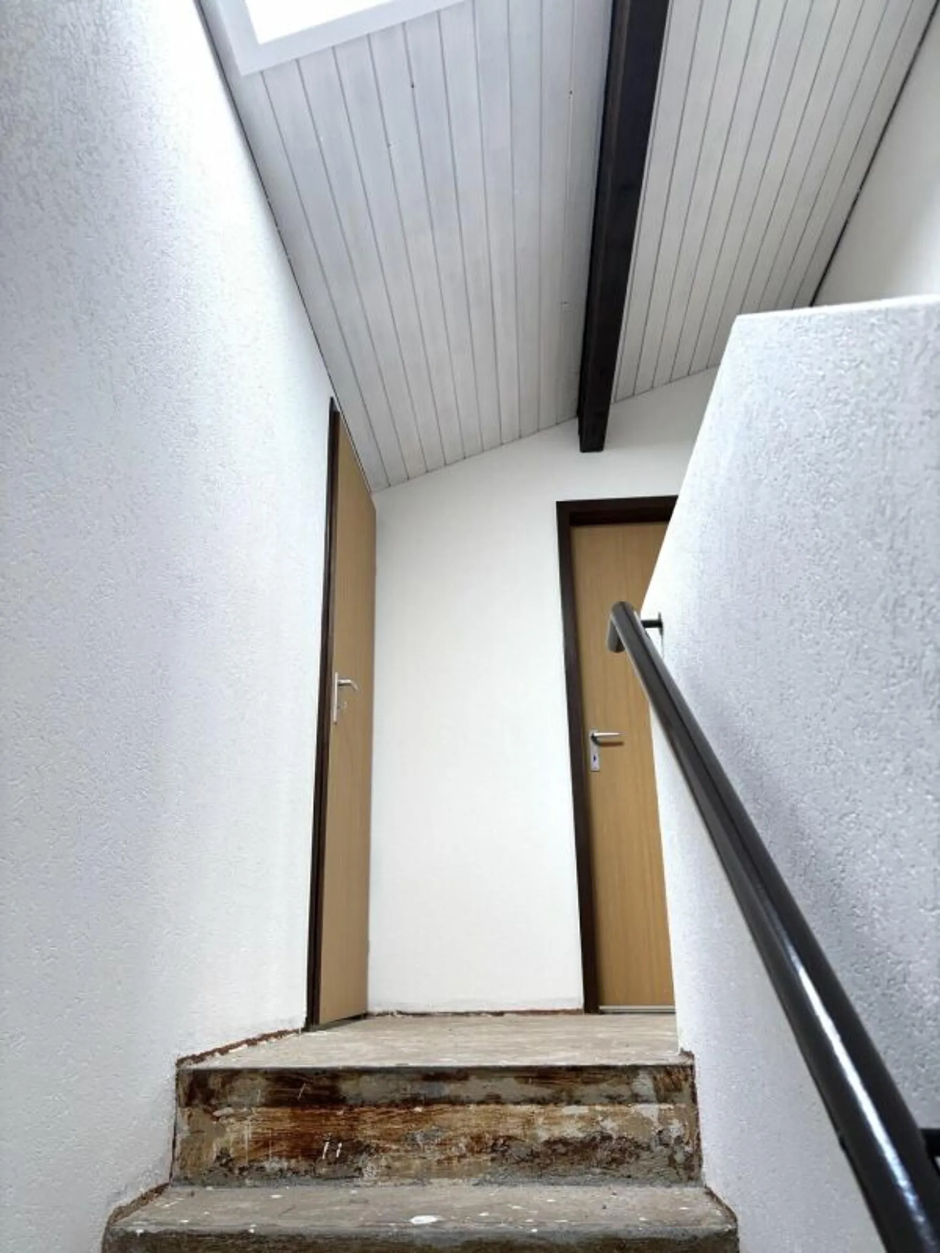 Image 13